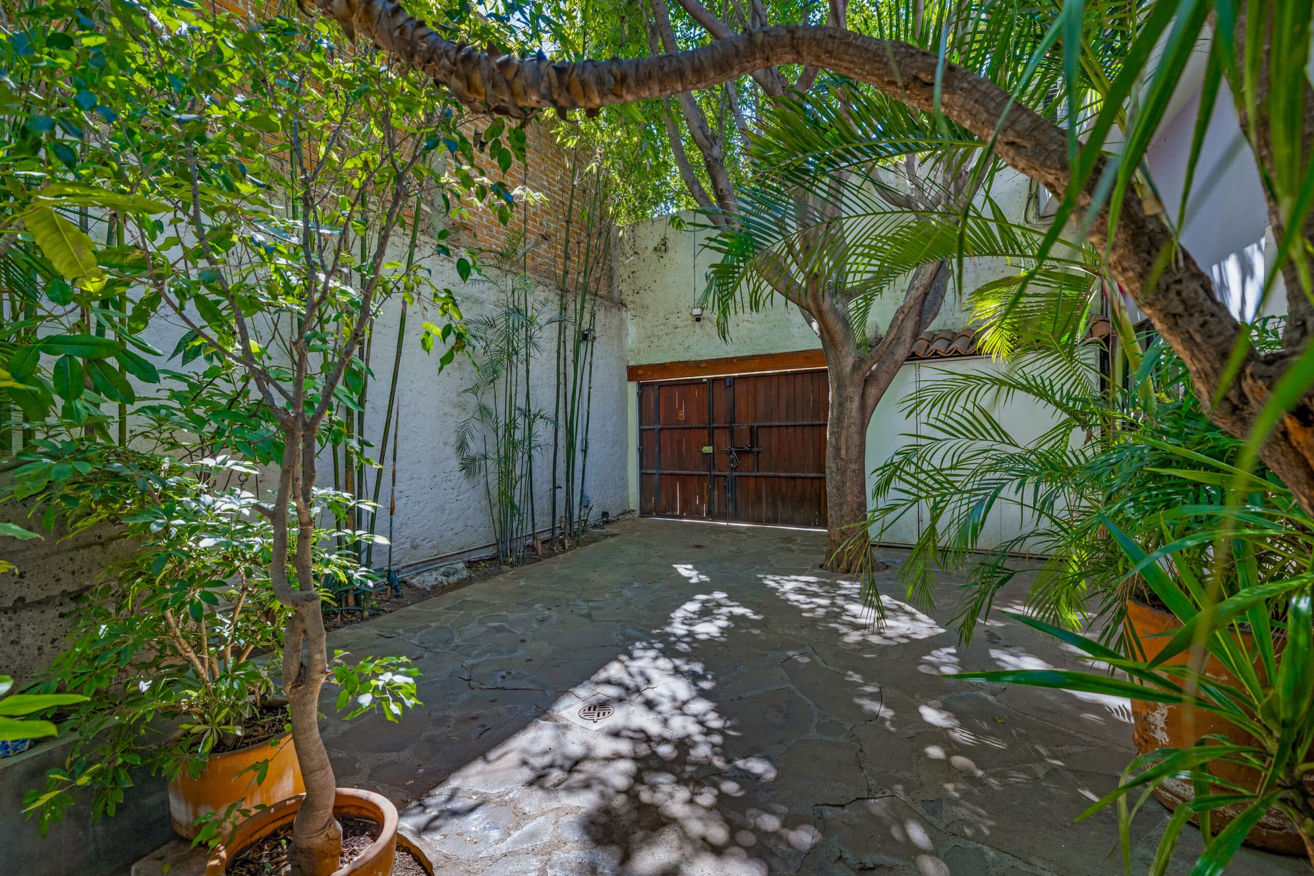 Casa Entre Arboles — photo 4