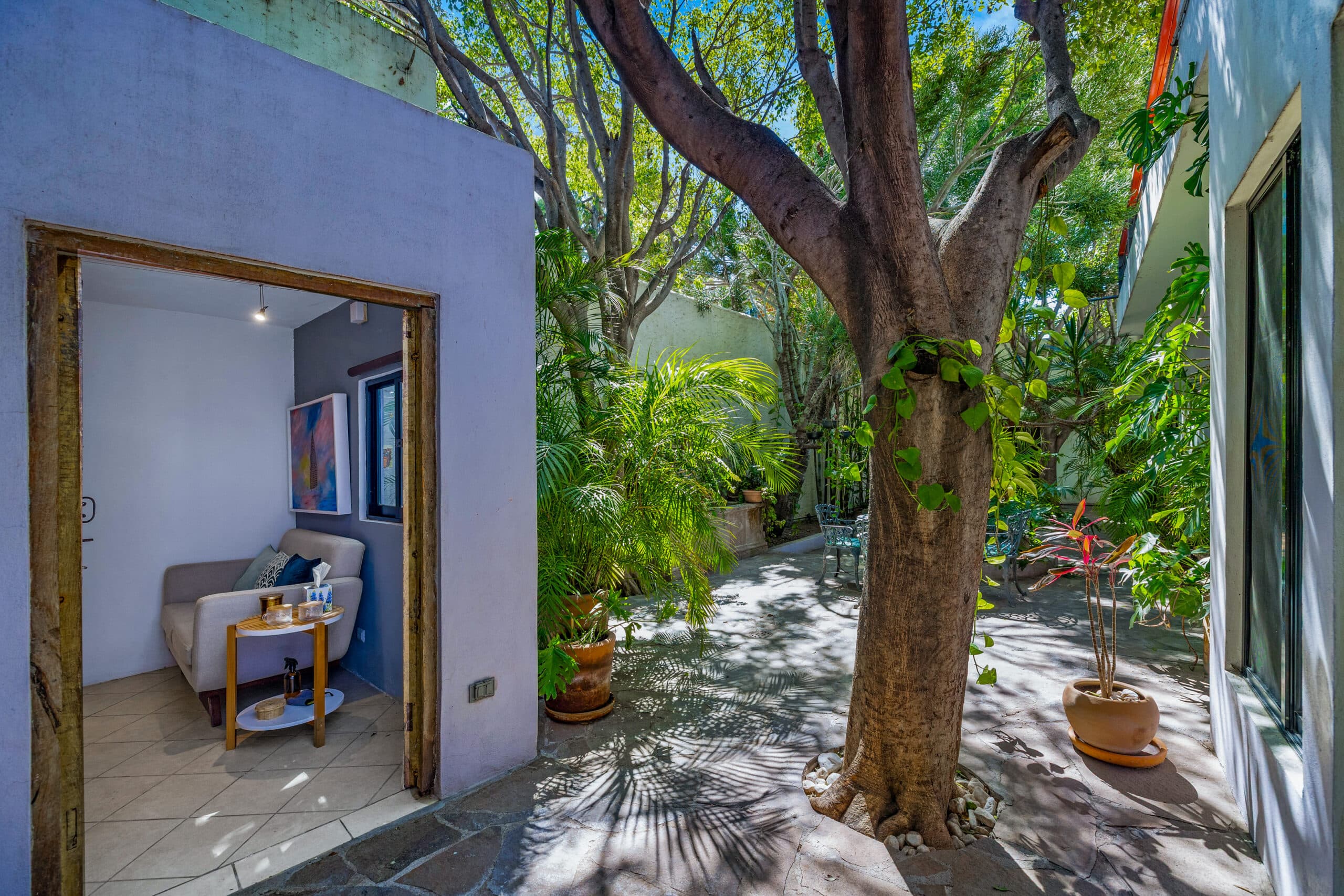 Casa Entre Arboles — photo 8