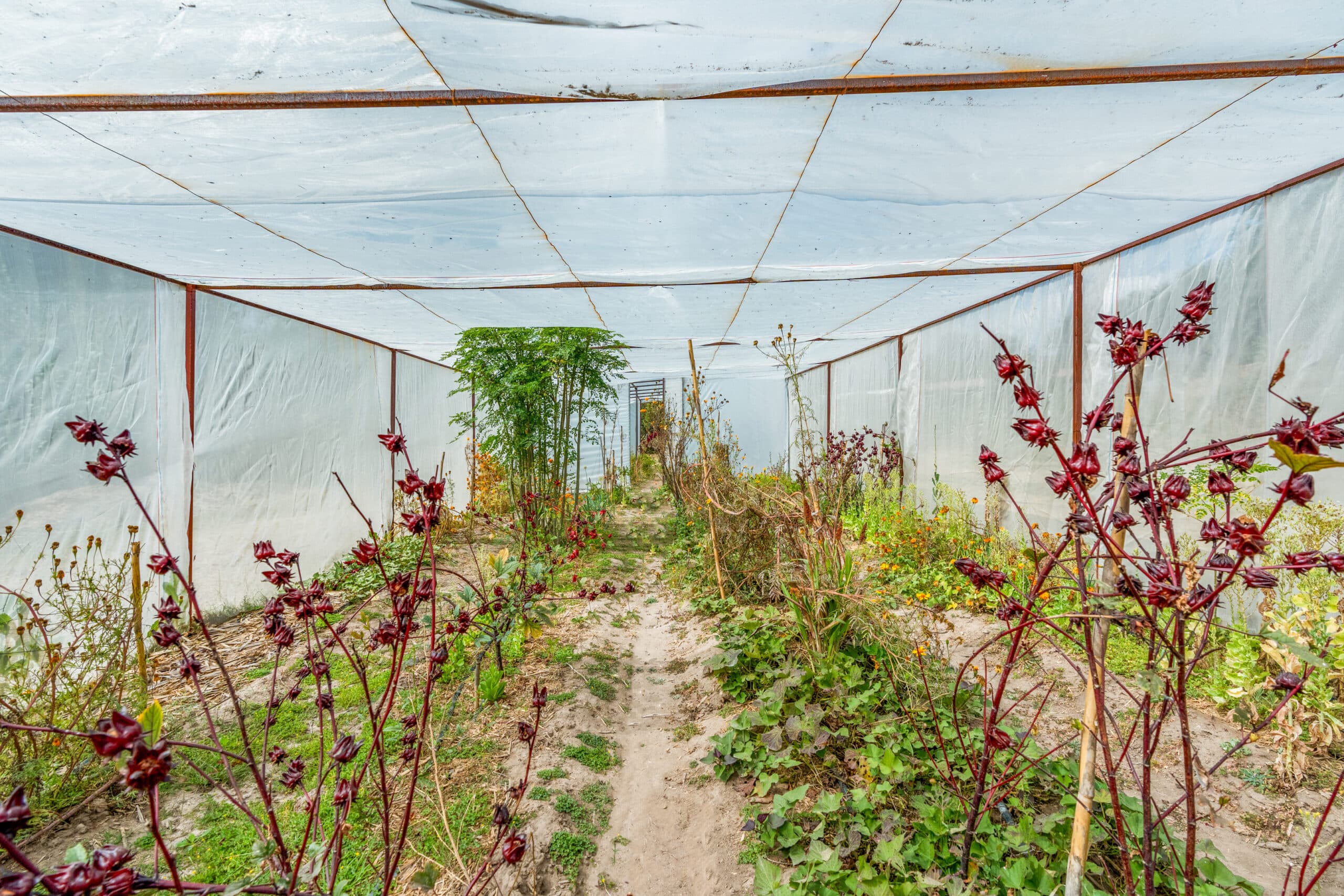 Armonia Eco Villa — photo 8