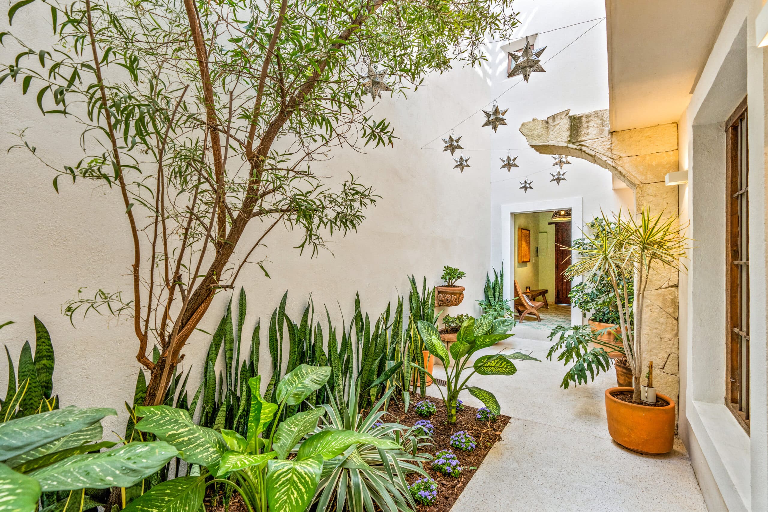 Casa Laguna — photo 2