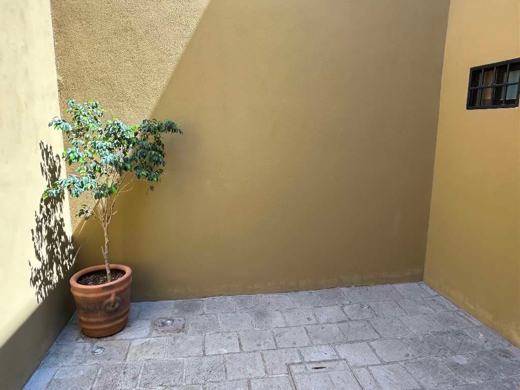 Casa Pericos — photo 7