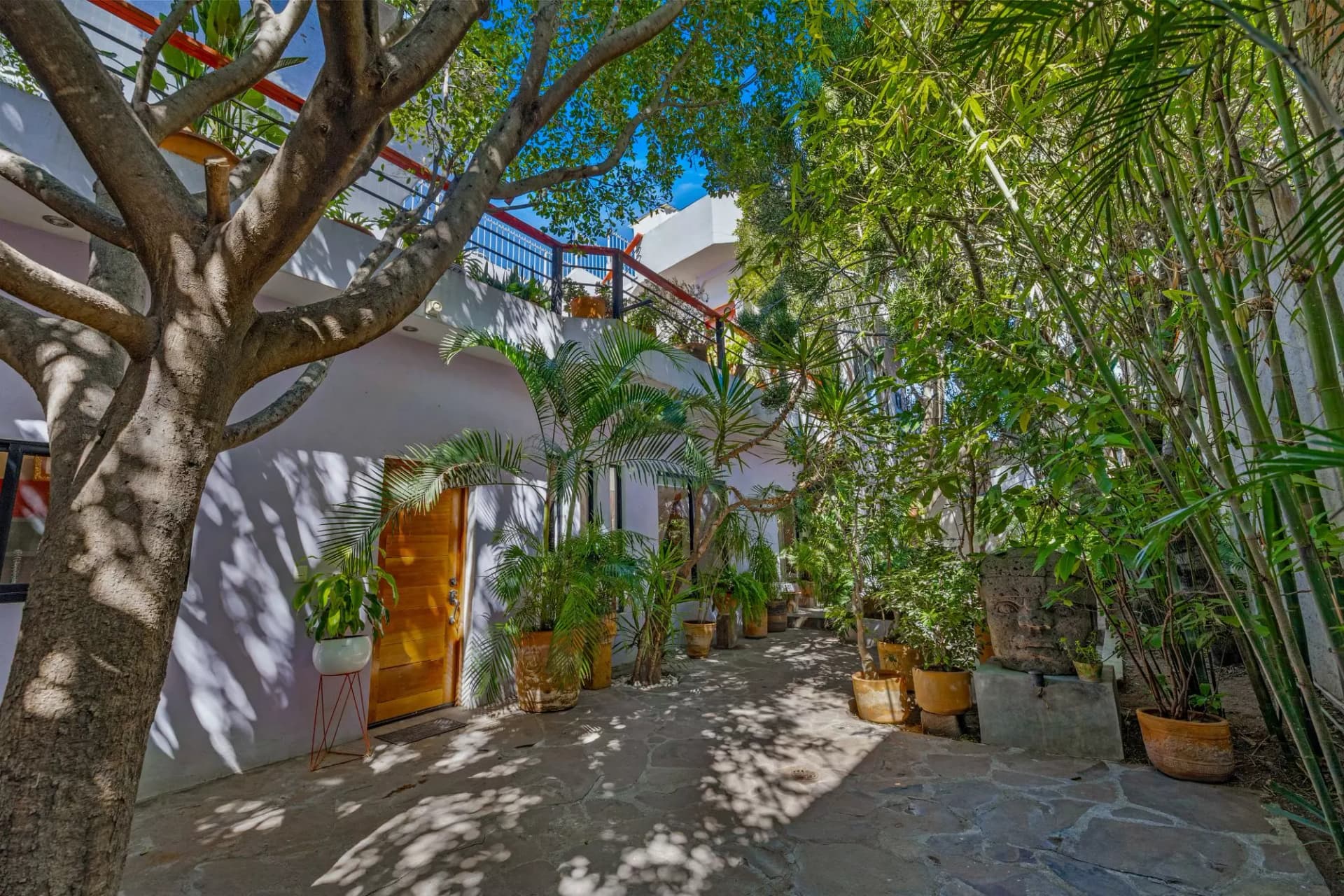 Casa Entre Árboles interior and garden connection
