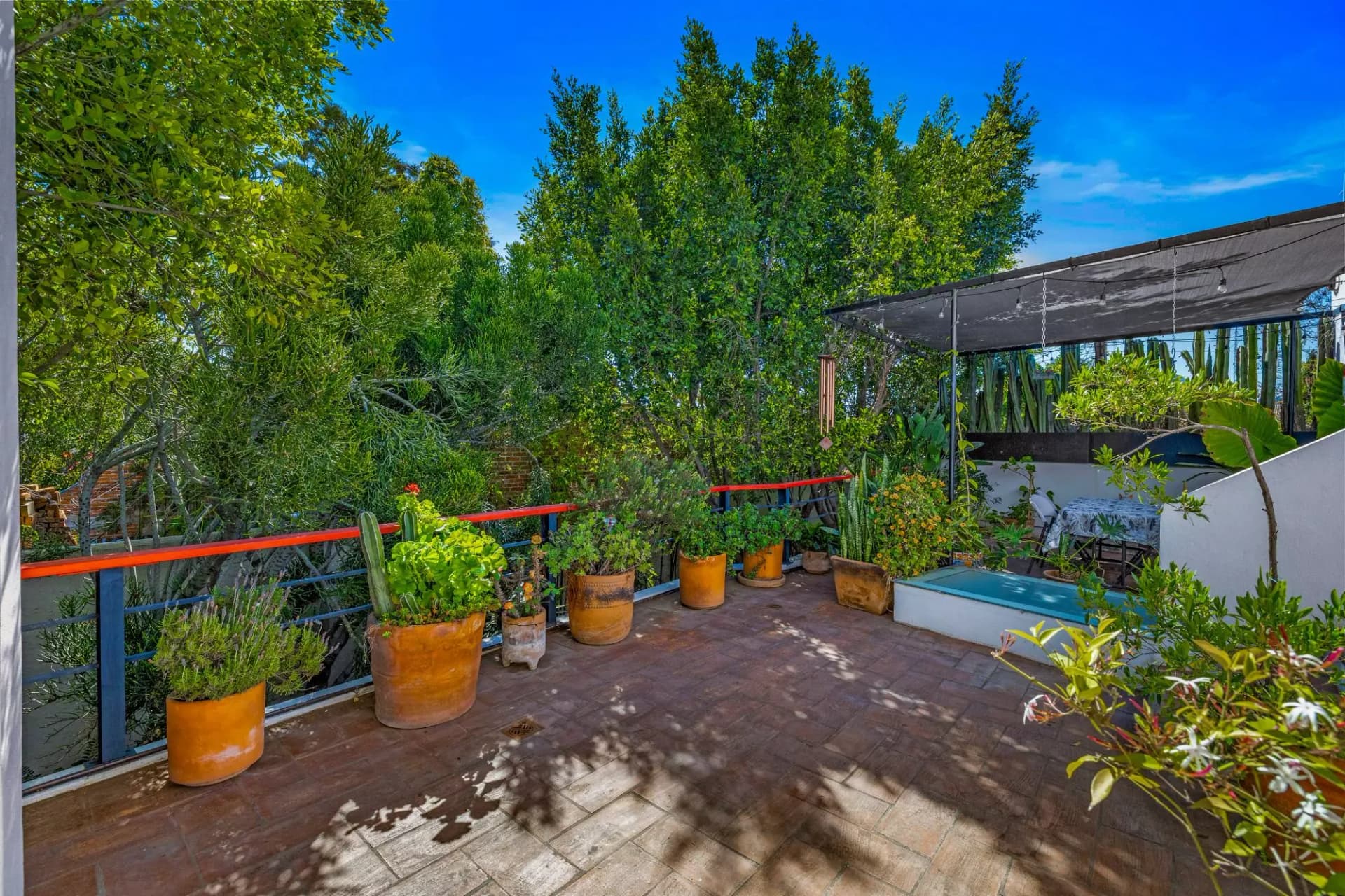 Casa Entre Árboles morning light and garden