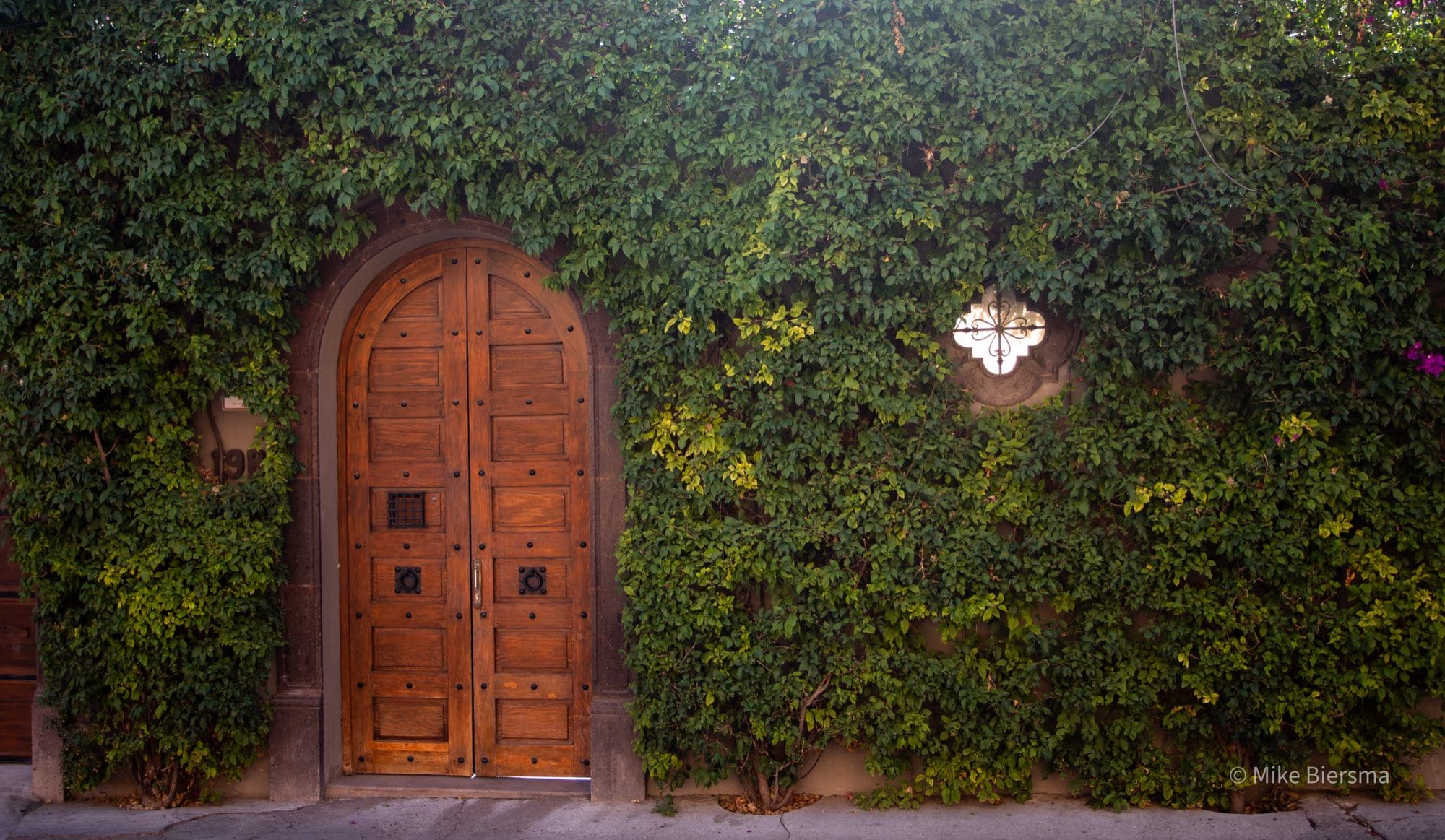 A home draped in climbing vines in Colonia Guadalupe, San Miguel de Allende