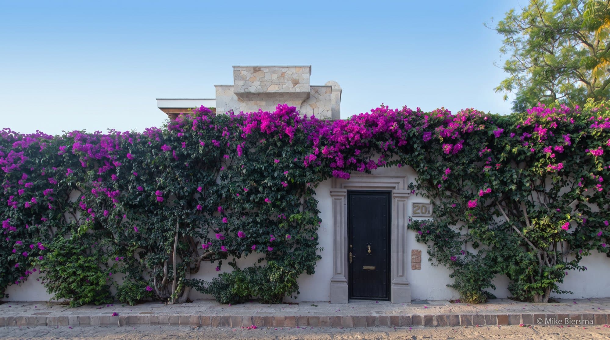 An elegant home on a tree-lined street in Guadiana, San Miguel de Allende