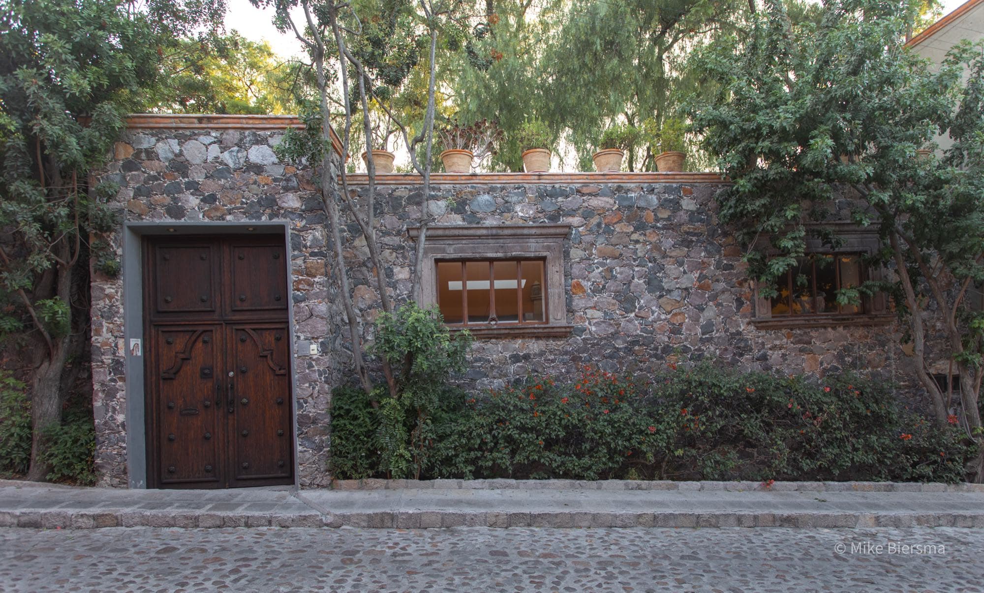 A quiet residential street in Guadiana, San Miguel de Allende