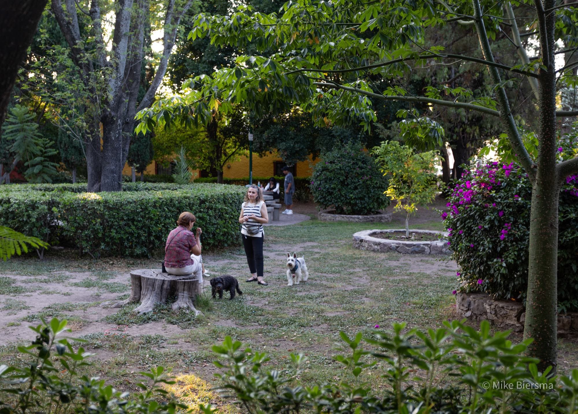 Neighbors and their dogs in Guadiana's central park, San Miguel de Allende