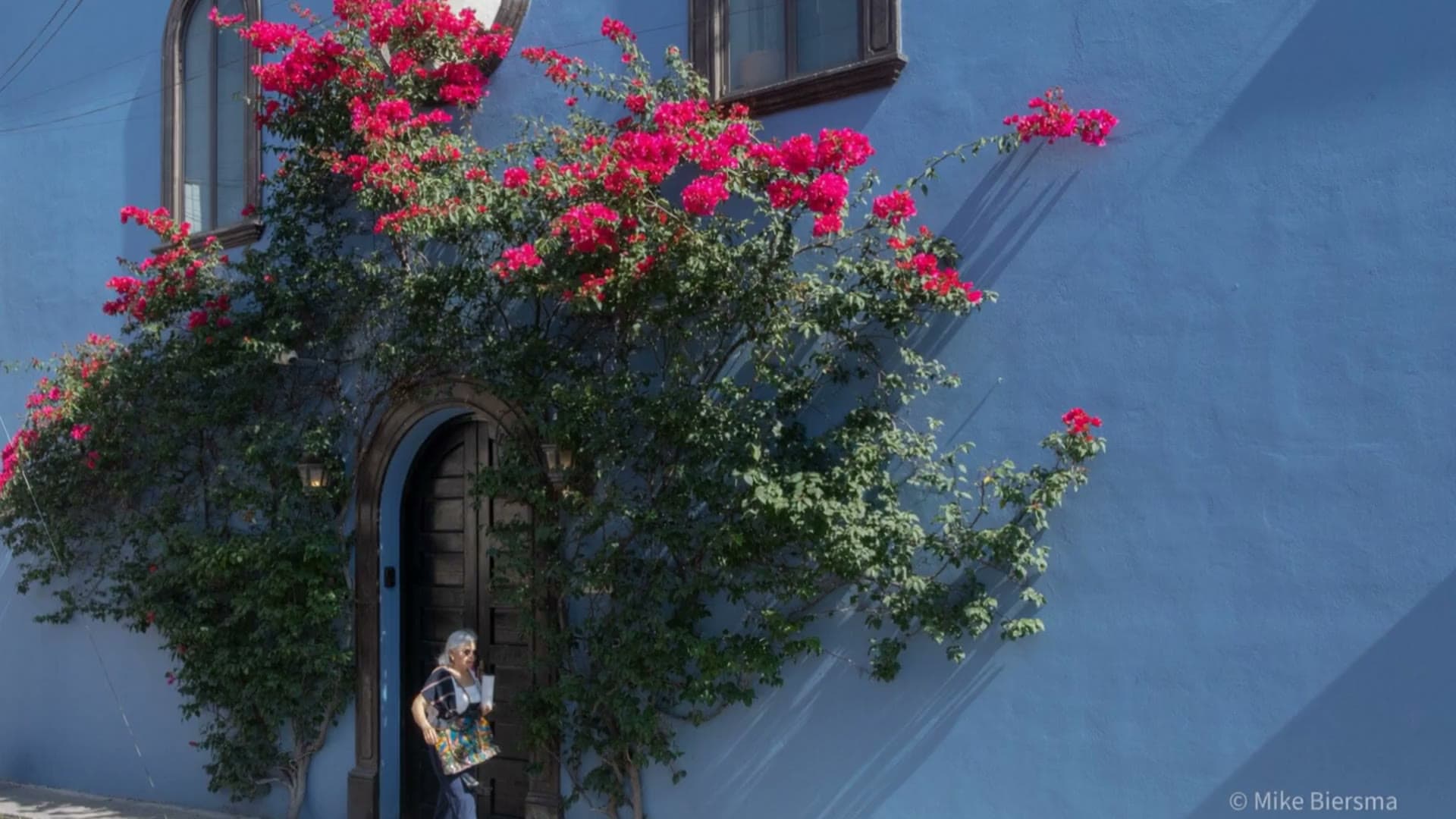 A blue colonial home with bougainvillea on a Guadalupe street, San Miguel de Allende