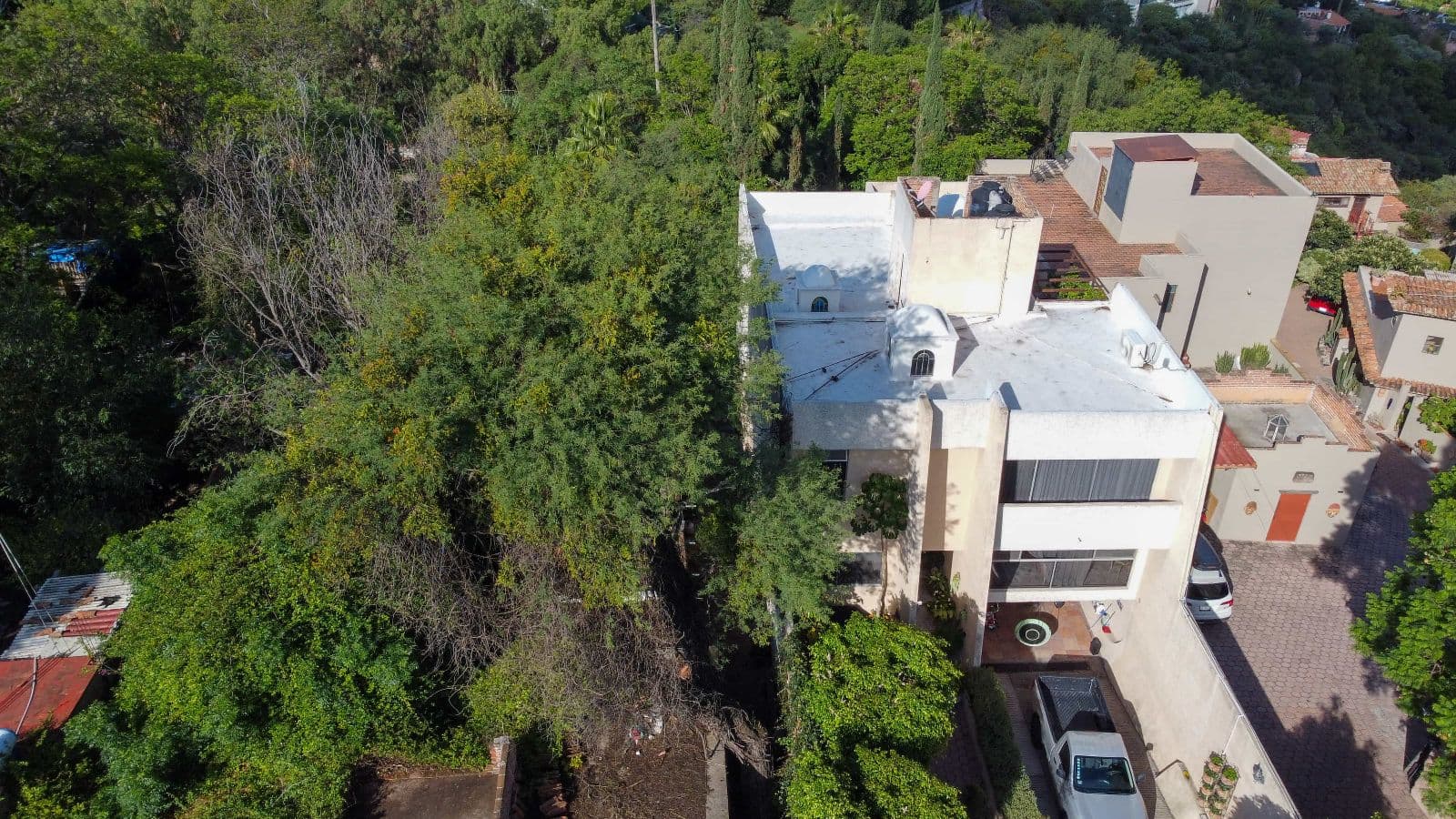 Fixer Salida a Queretaro — Centro, San Miguel de Allende — photo 22 — lush gardens frame contemporary home