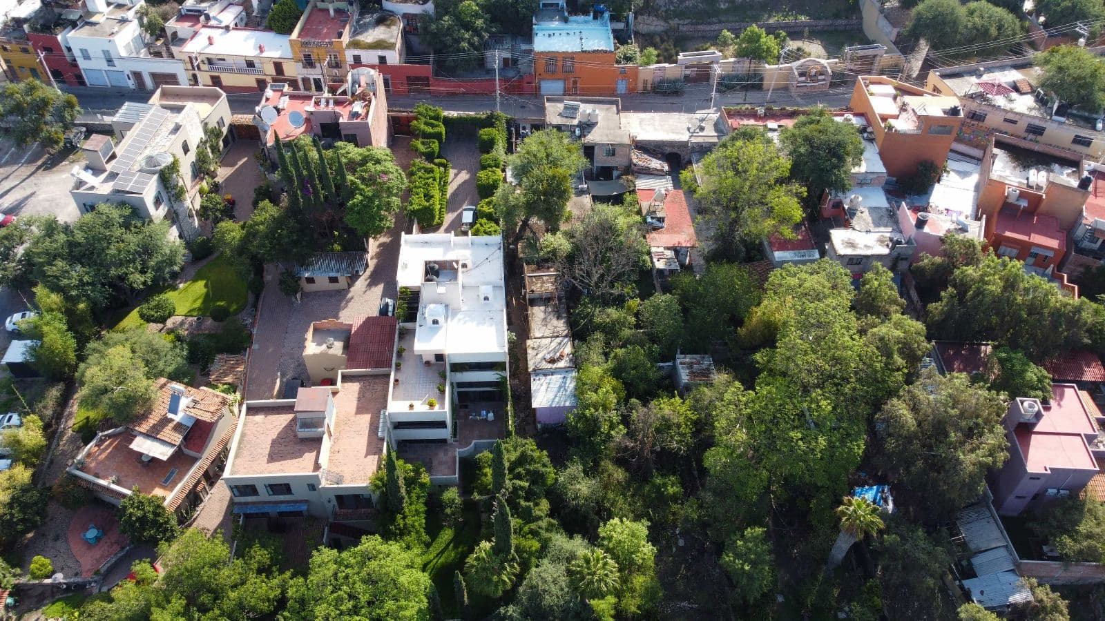 Fixer Salida a Queretaro — Centro, San Miguel de Allende — photo 18 — lush garden sanctuary, contemporary elegance