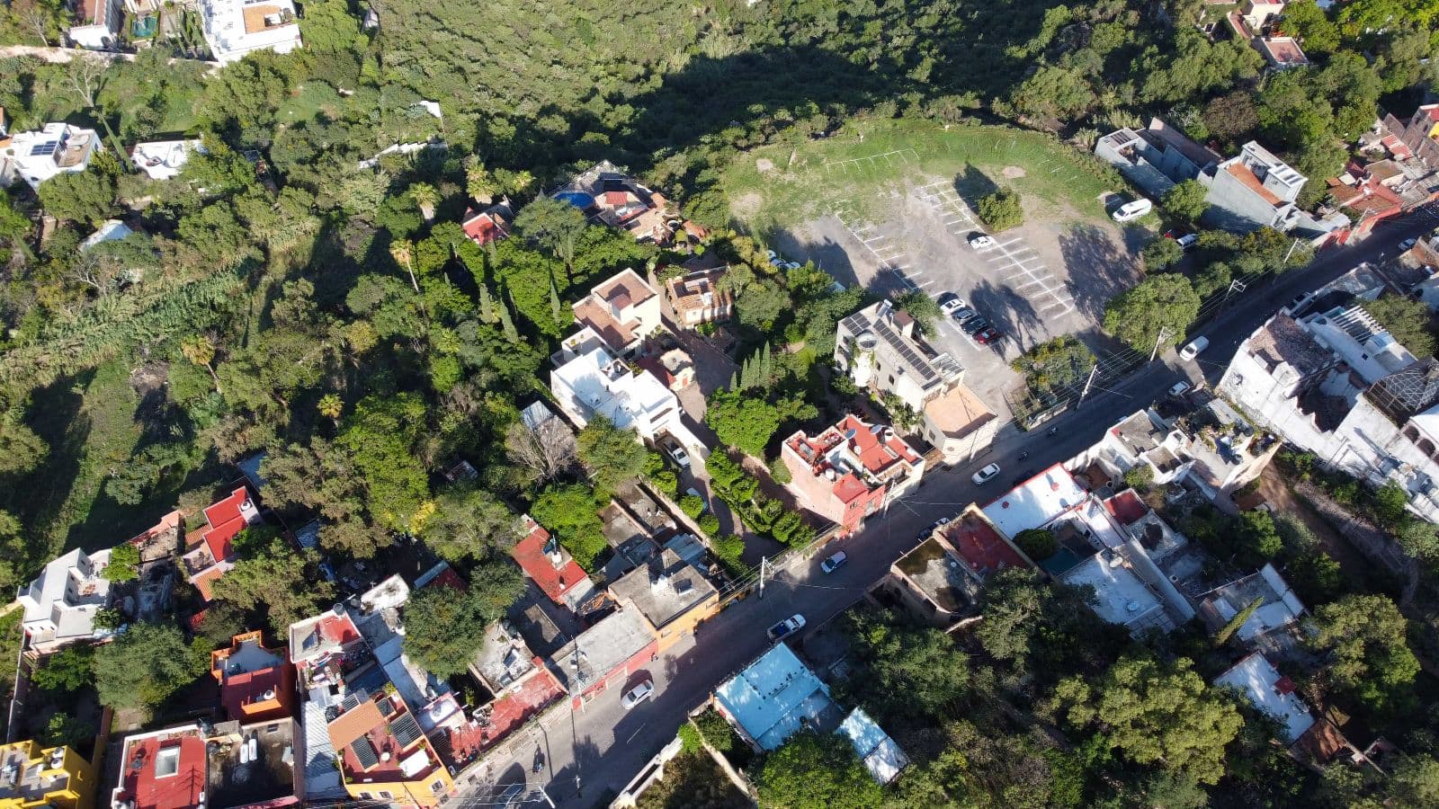 Fixer Salida a Queretaro — Centro, San Miguel de Allende — photo 10 — verdant hillside sanctuary, mature tree canopy