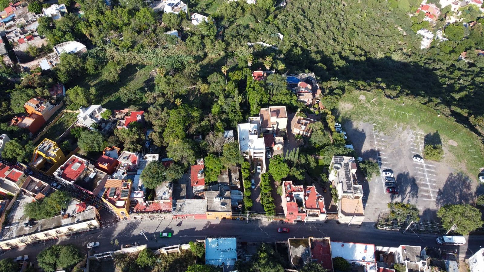 Fixer Salida a Queretaro — Centro, San Miguel de Allende — photo 8 — verdant hillside estate with mature gardens