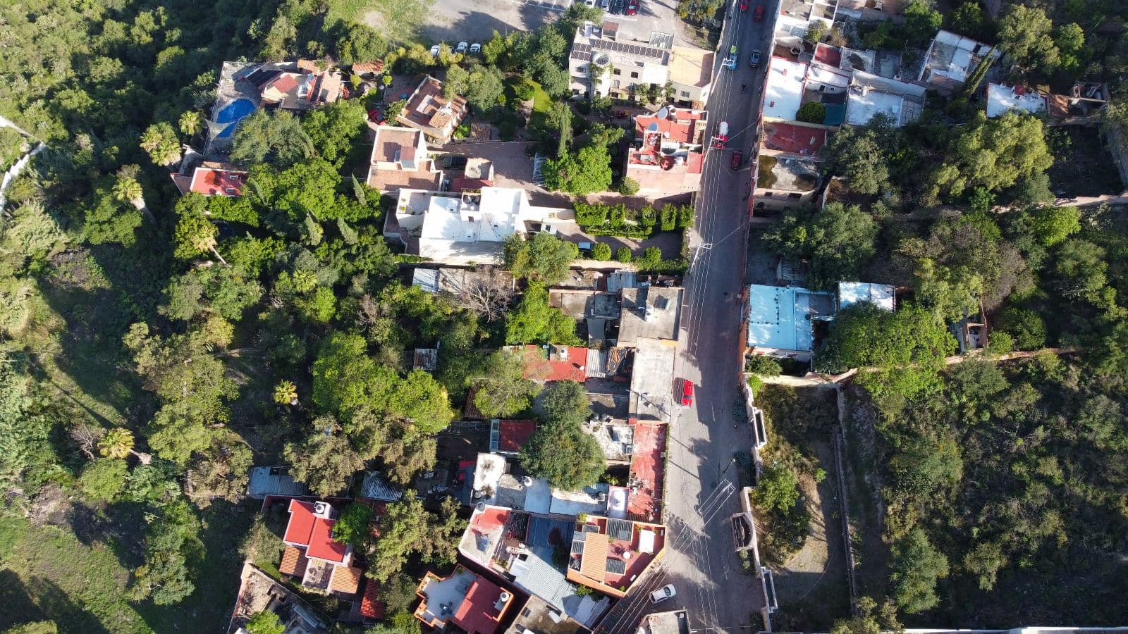 Fixer Salida a Queretaro — Centro, San Miguel de Allende — photo 11 — verdant hillside nestled in nature's embrace