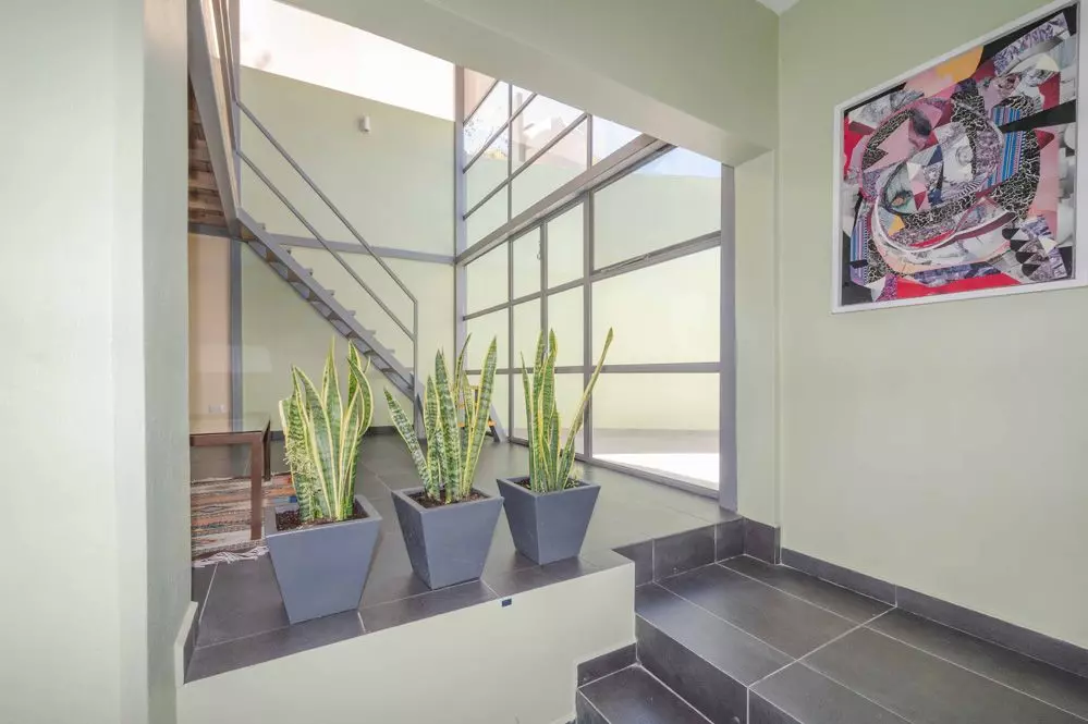 Fraccion 5 — San Antonio, San Miguel de Allende — photo 5 — bright, plant-filled architectural entry