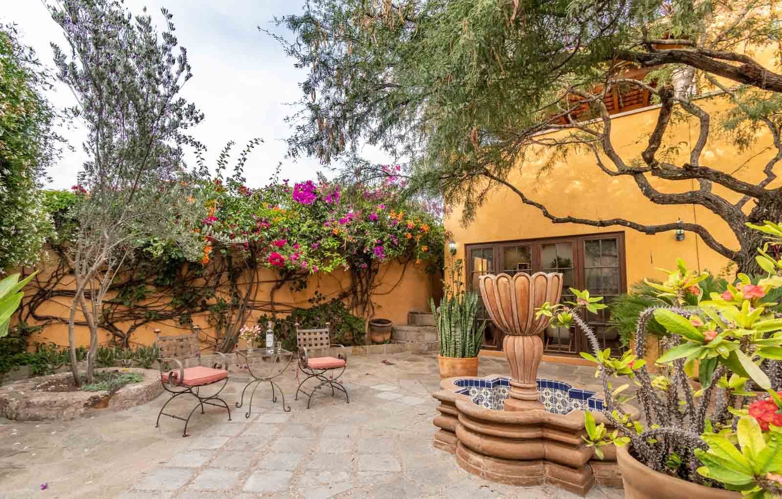 Casa San Miguel 11 — El Paraiso, San Miguel de Allende — photo 15 — sunlit courtyard, mature specimen trees
