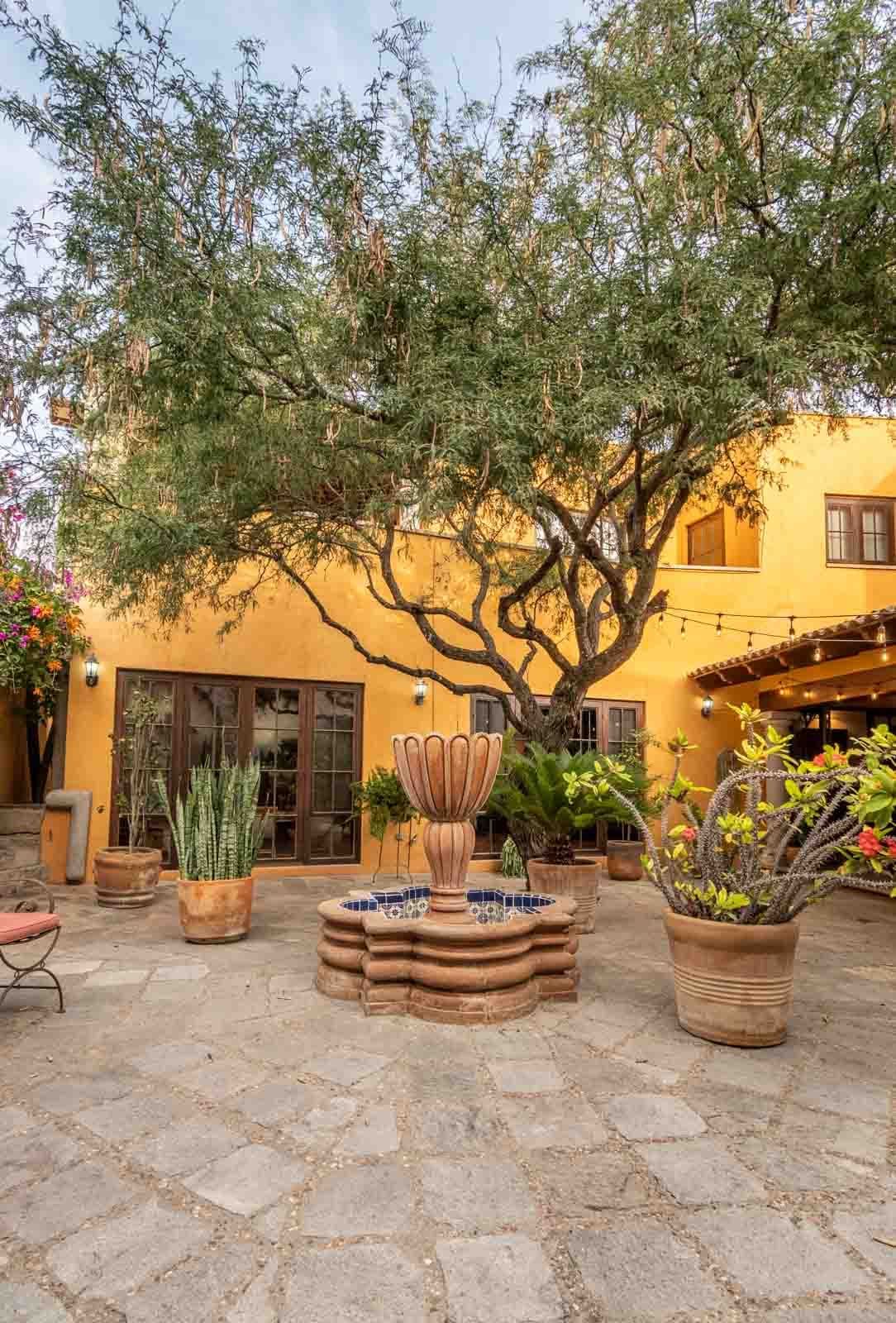 Casa San Miguel 11 — El Paraiso, San Miguel de Allende — photo 17 — sunlit courtyard, mature specimen tree
