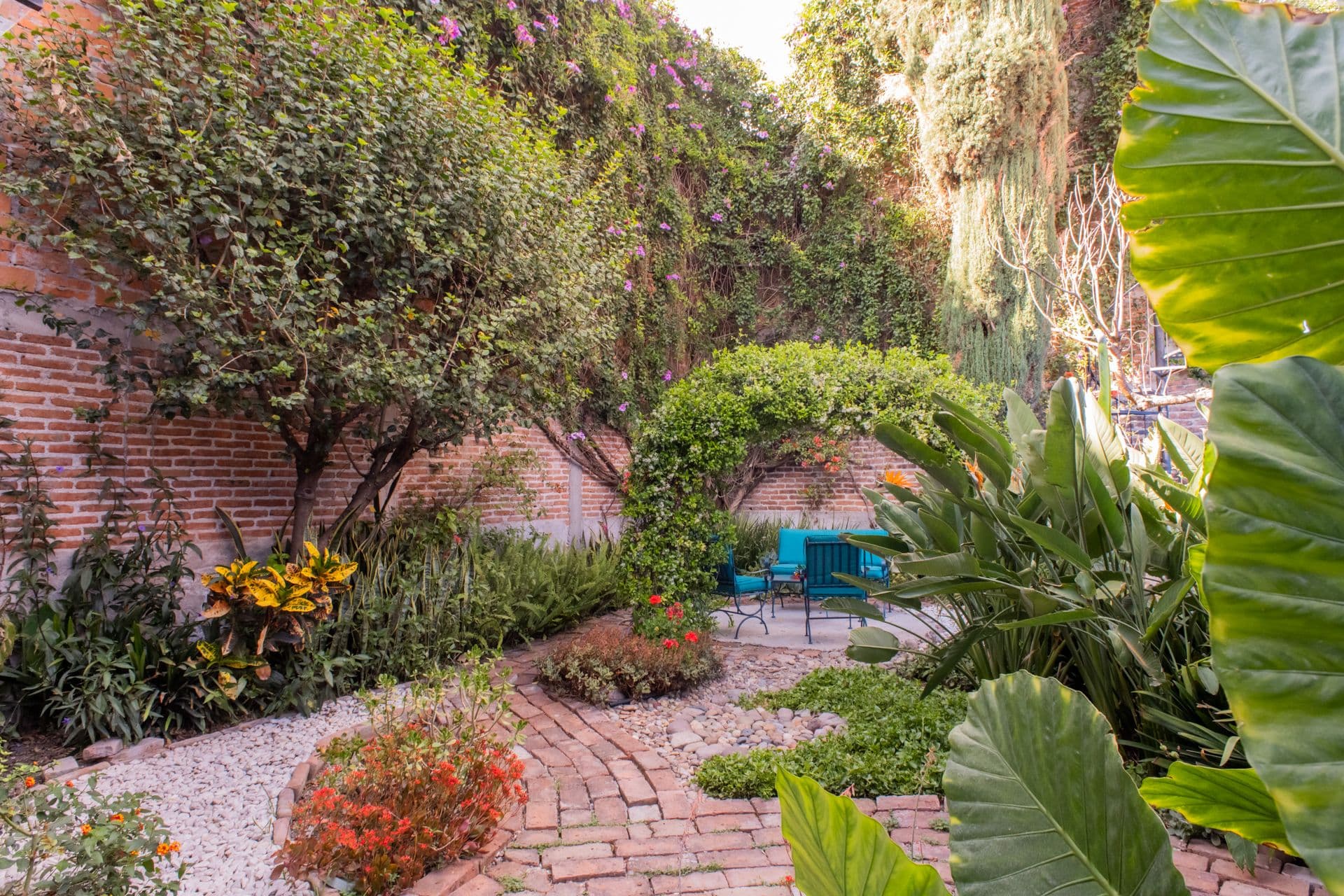 Casa Santuario — San Antonio, San Miguel de Allende — photo 13 — enchanting ivy-covered courtyard oasis