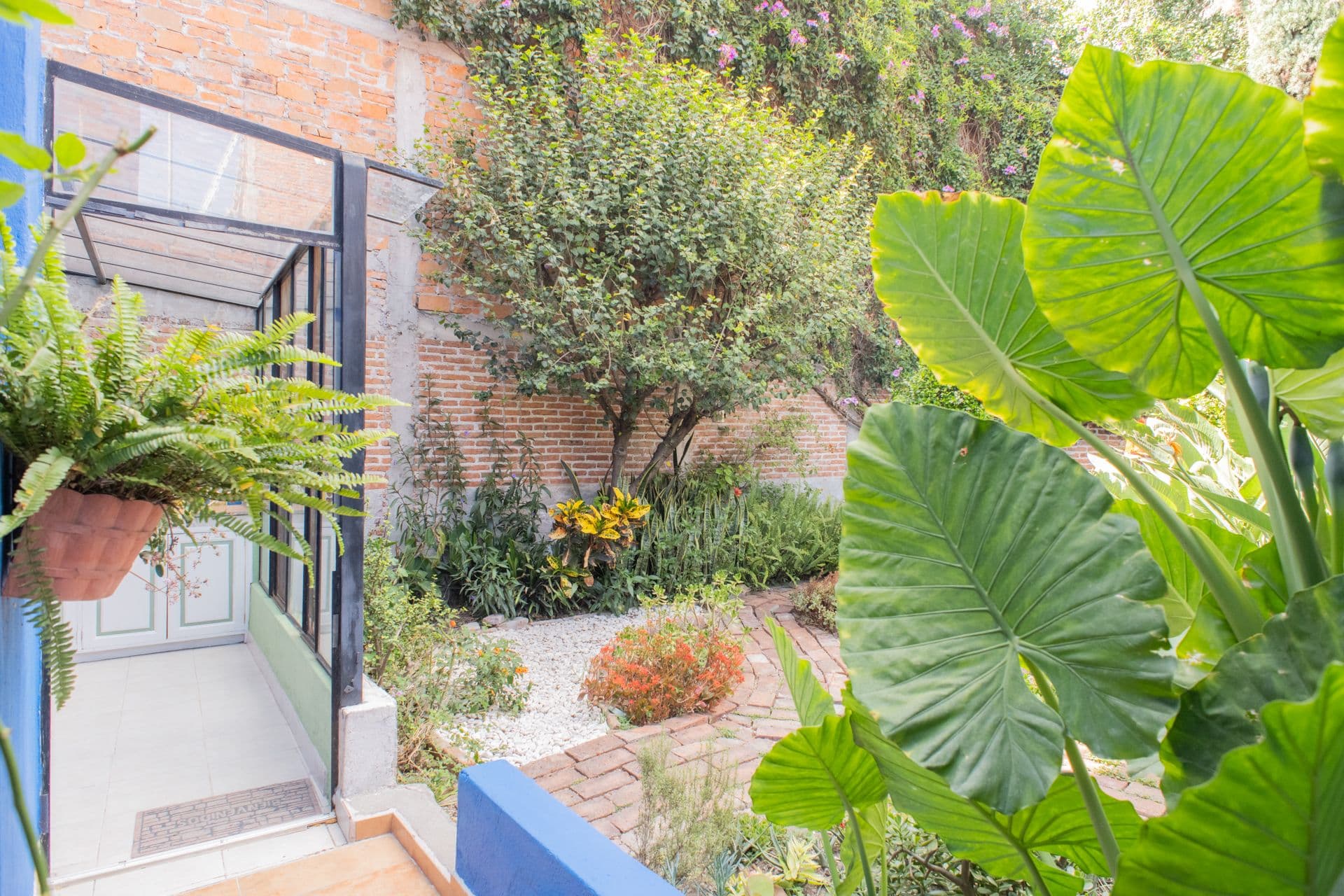Casa Santuario — San Antonio, San Miguel de Allende — photo 20 — verdant courtyard, mature architectural charm