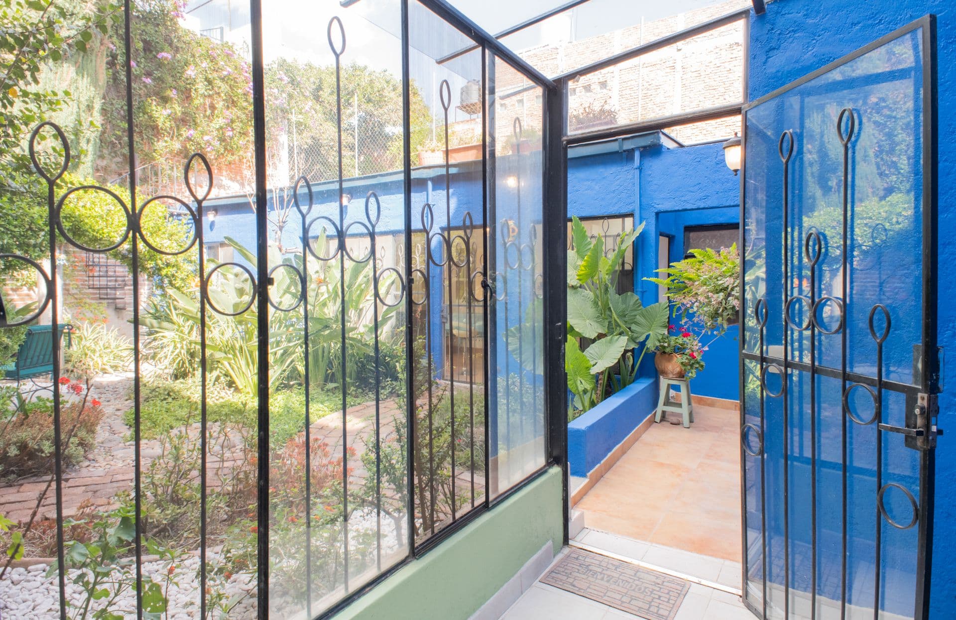Casa Santuario — San Antonio, San Miguel de Allende — photo 12 — vibrant greenhouse with botanical charm
