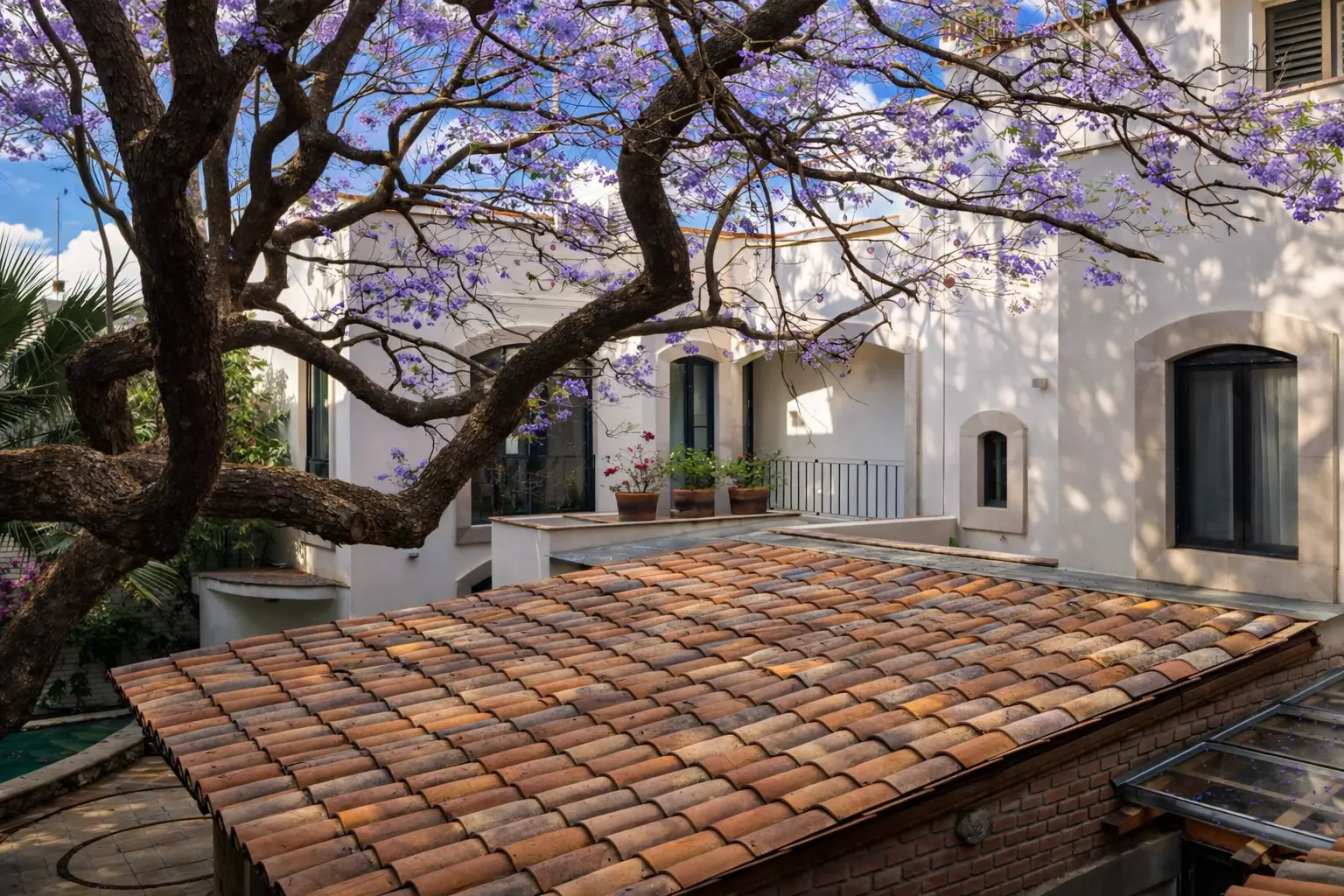 Casa Tranquila — Guadalupe, San Miguel de Allende — photo 4 — serene courtyard, blooming jacaranda shade