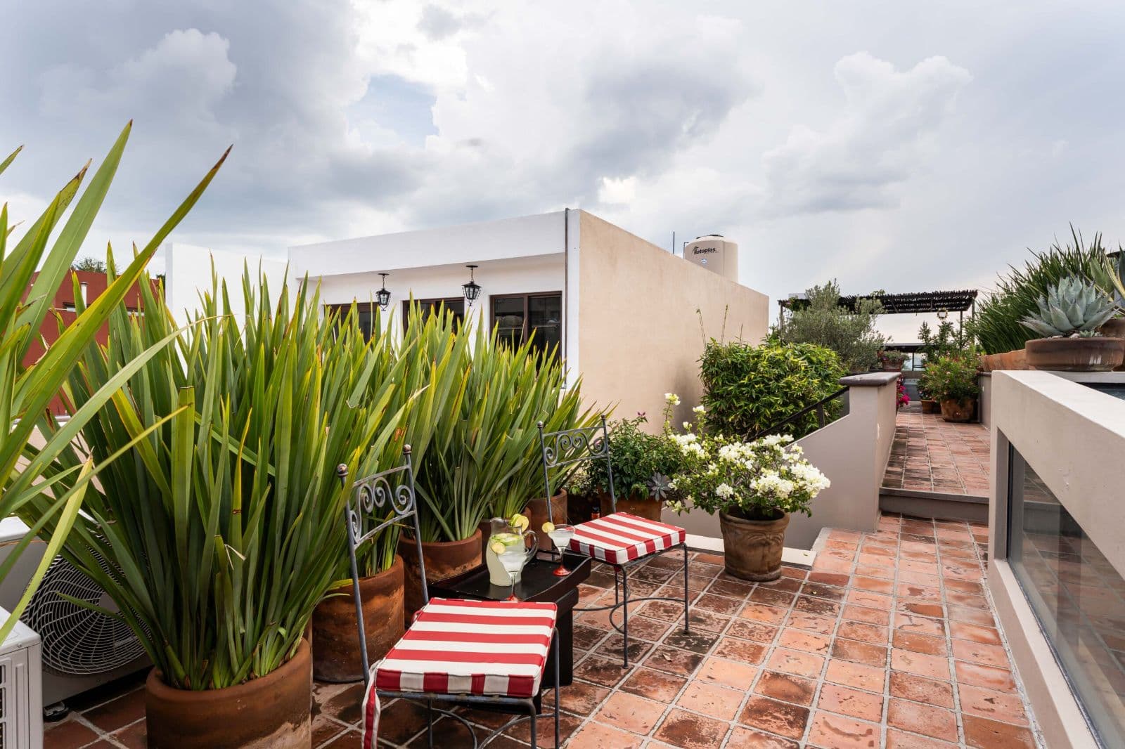 Casa Lagniappe — Centro, San Miguel de Allende — photo 18 — charming rooftop terrace, lush botanical sanctuary