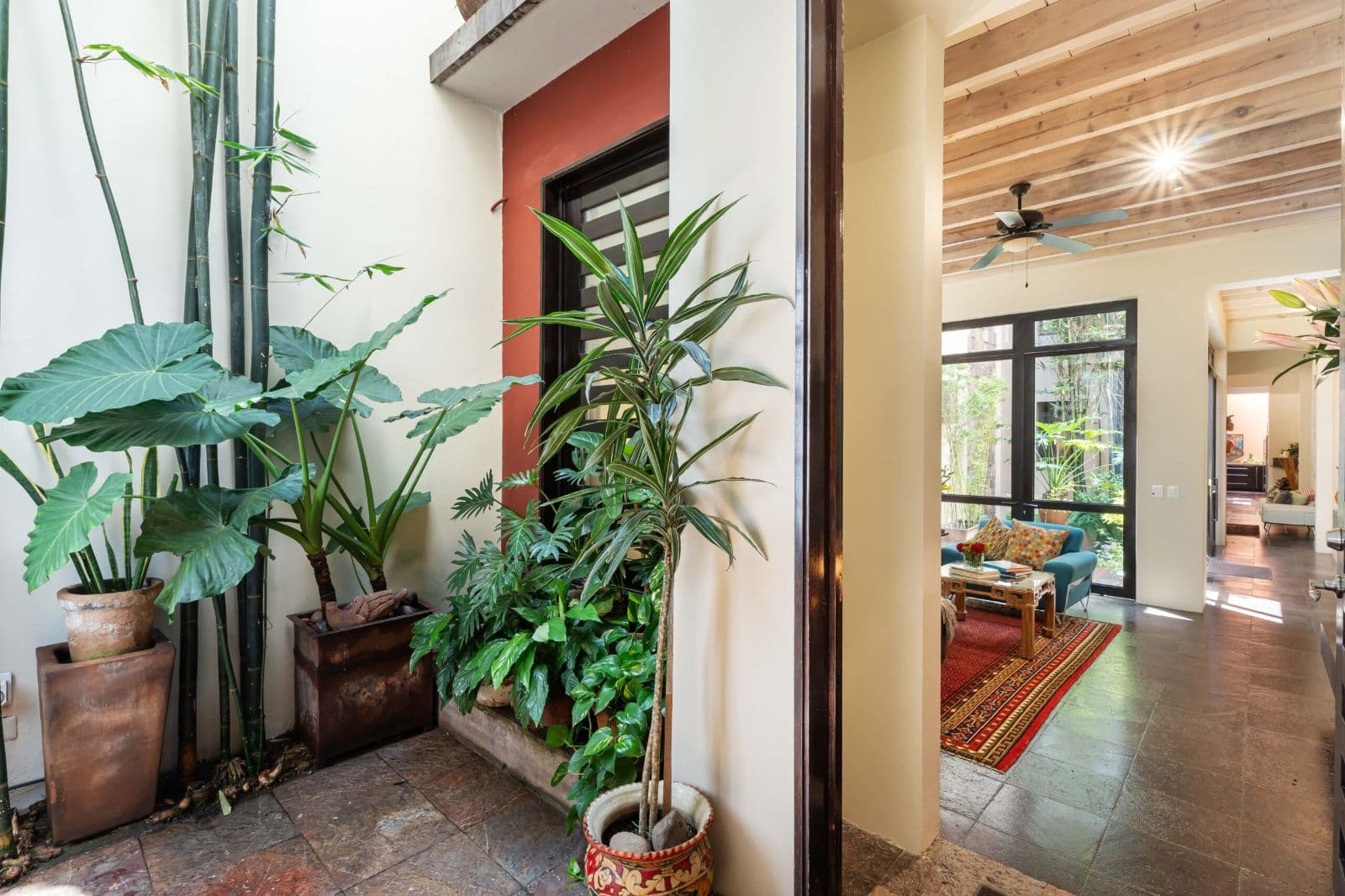 Casa Lagniappe — Centro, San Miguel de Allende — photo 4 — verdant entryway, warm natural light flows