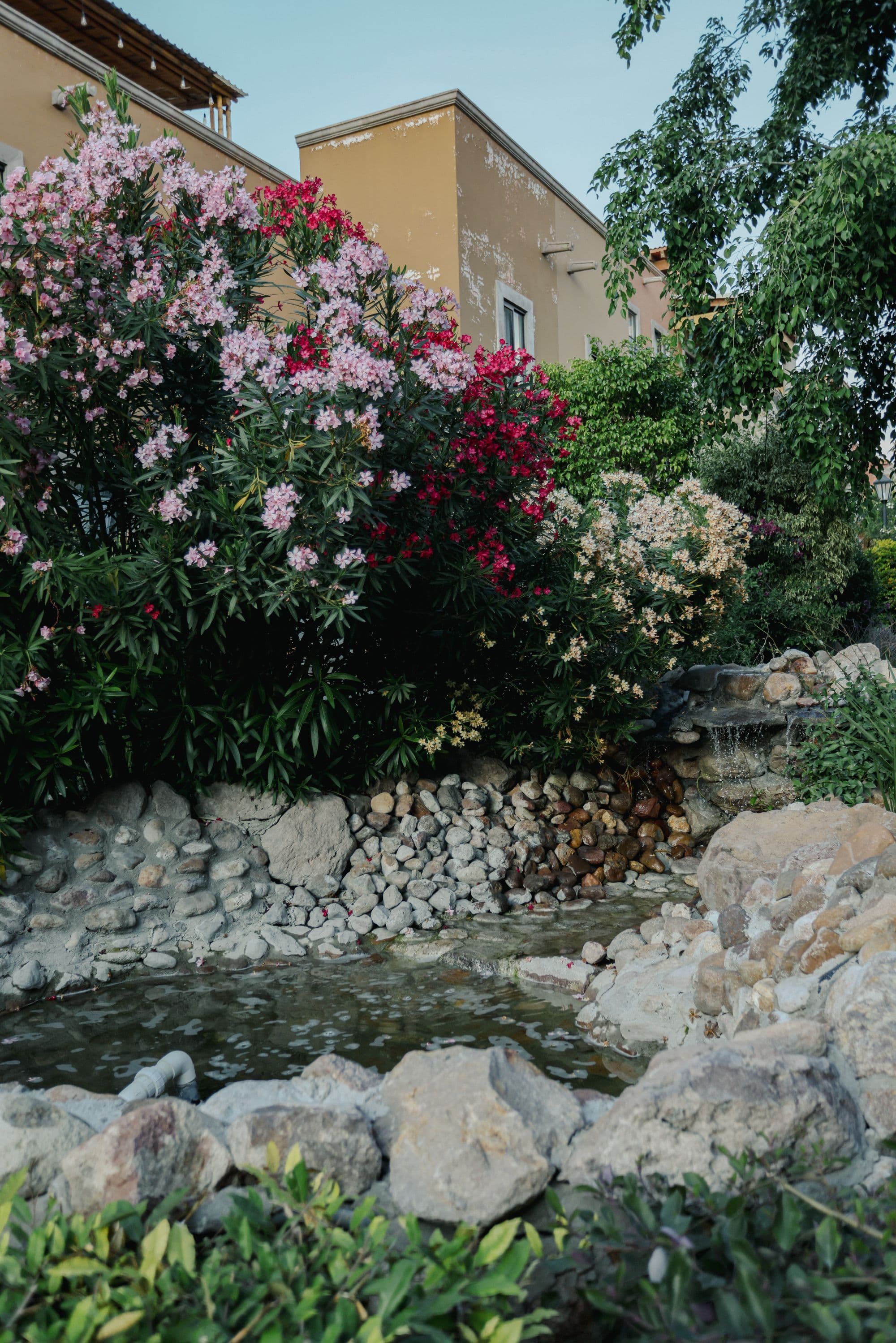 El Milagro Rooftop Apartment — San Miguel de Allende Centro, San Miguel de Allende — photo 9 — enchanting garden oasis, serene water feature