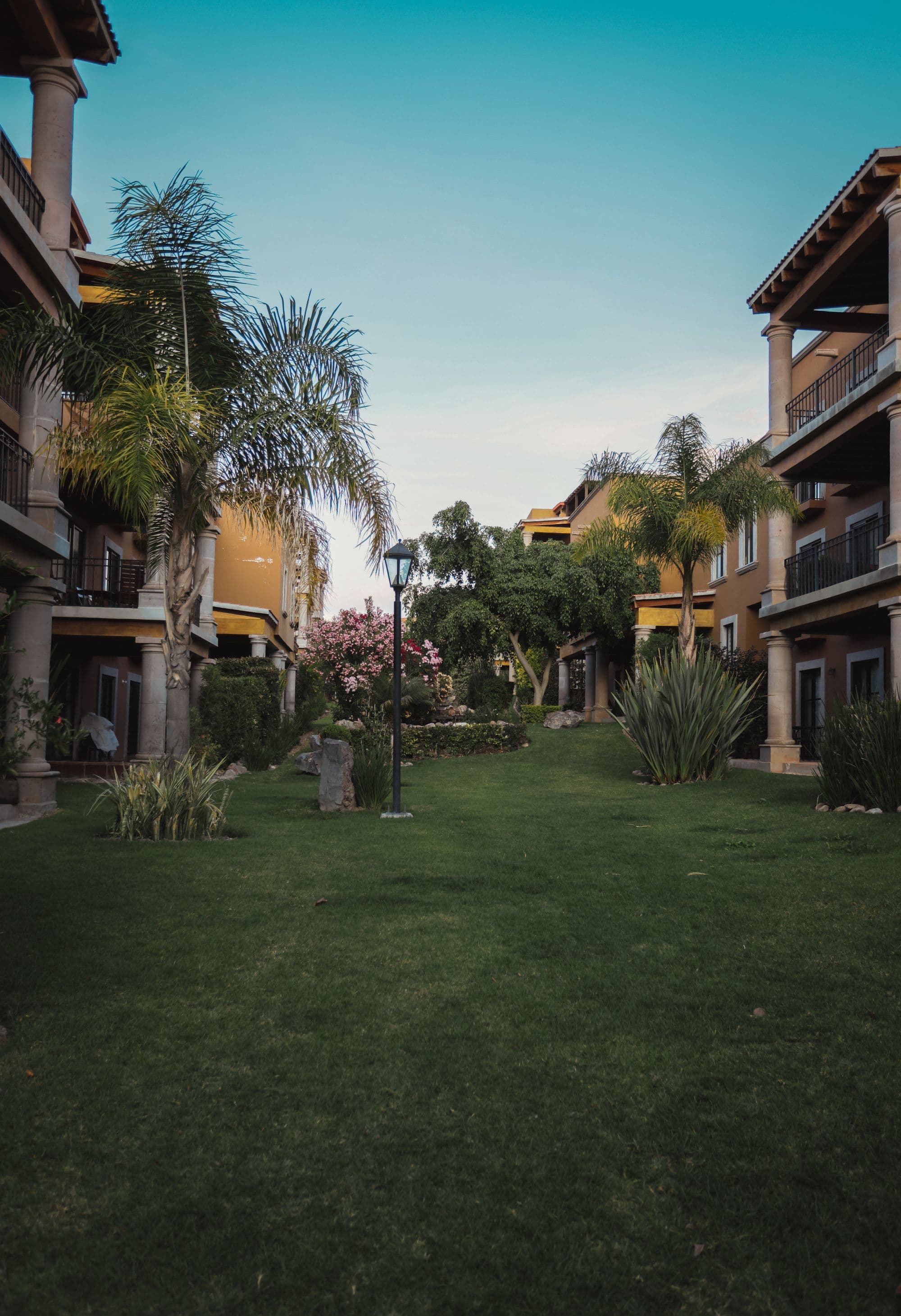 El Milagro Rooftop Apartment — San Miguel de Allende Centro, San Miguel de Allende — photo 11 — serene courtyard, tropical gardens, golden architecture