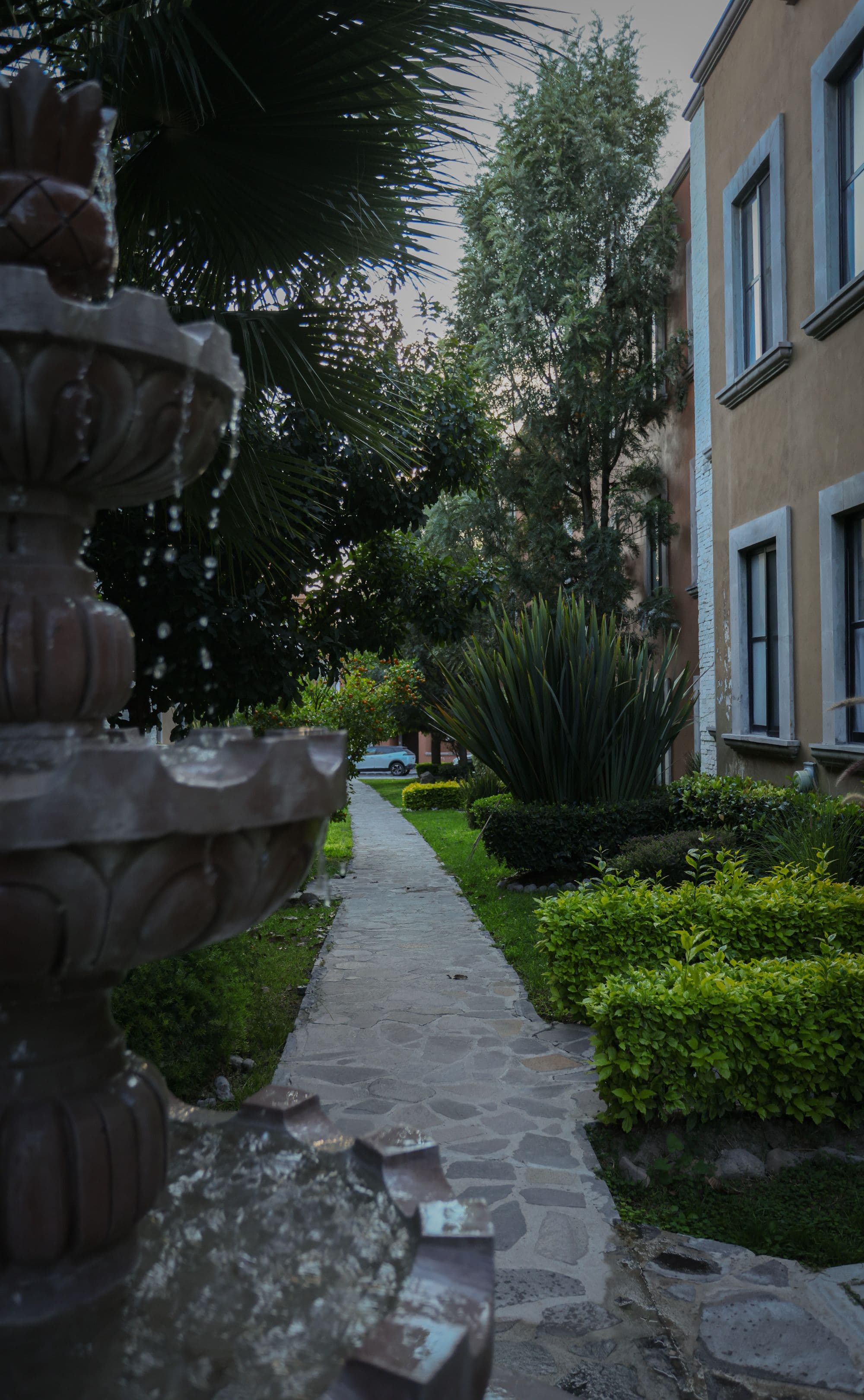 El Milagro Rooftop Apartment — San Miguel de Allende Centro, San Miguel de Allende — photo 10 — lush courtyard, timeless colonial elegance