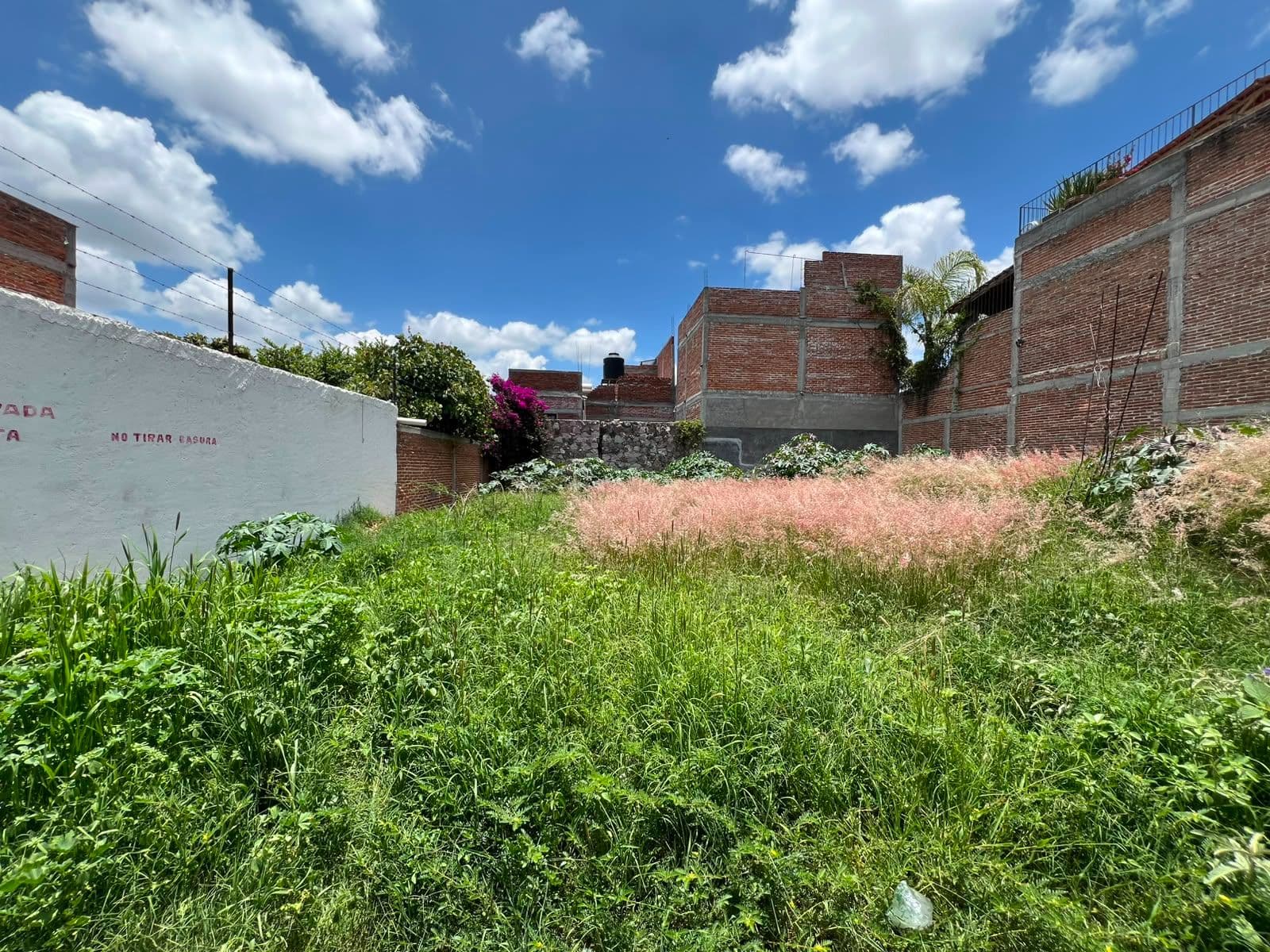 Terreno en "Ignacio Cruces" β Independencia, San Miguel de Allende β photo 2 β verdant canvas awaits your vision