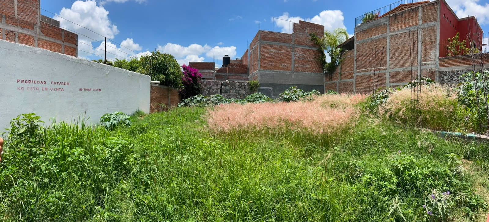Terreno en "Ignacio Cruces" β Independencia, San Miguel de Allende β photo 4 β expansive sun-drenched land, authentic potential