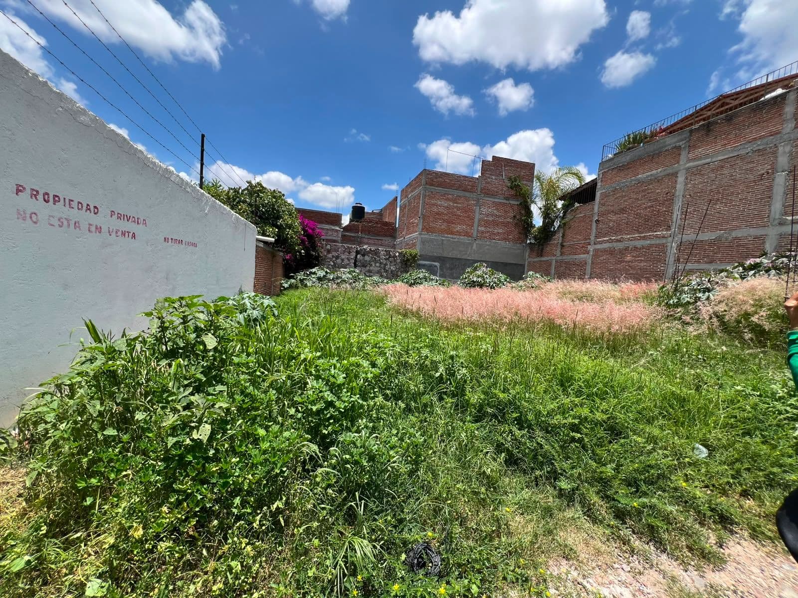 Terreno en "Ignacio Cruces" β Independencia, San Miguel de Allende β photo 3 β expansive blank canvas awaits vision