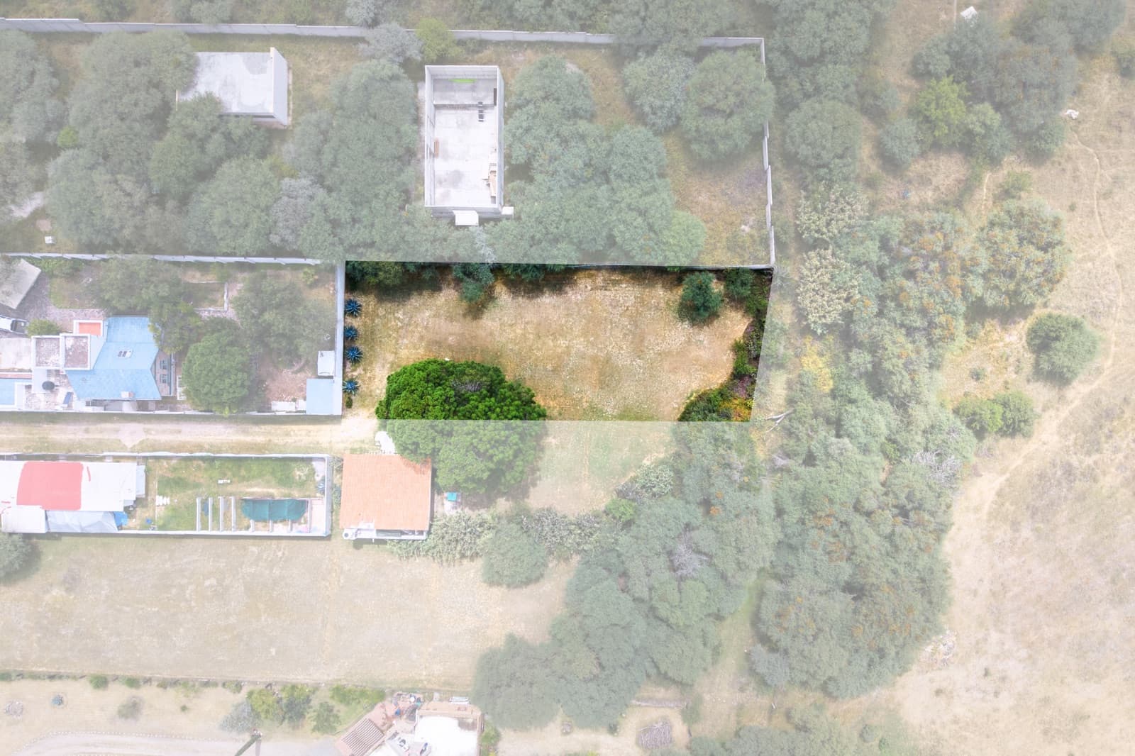 Terrenos San Miguelito de Los Frailes — Villa de los Frailes, San Miguel de Allende — photo 7 — expansive grounds with mature landscaping potential