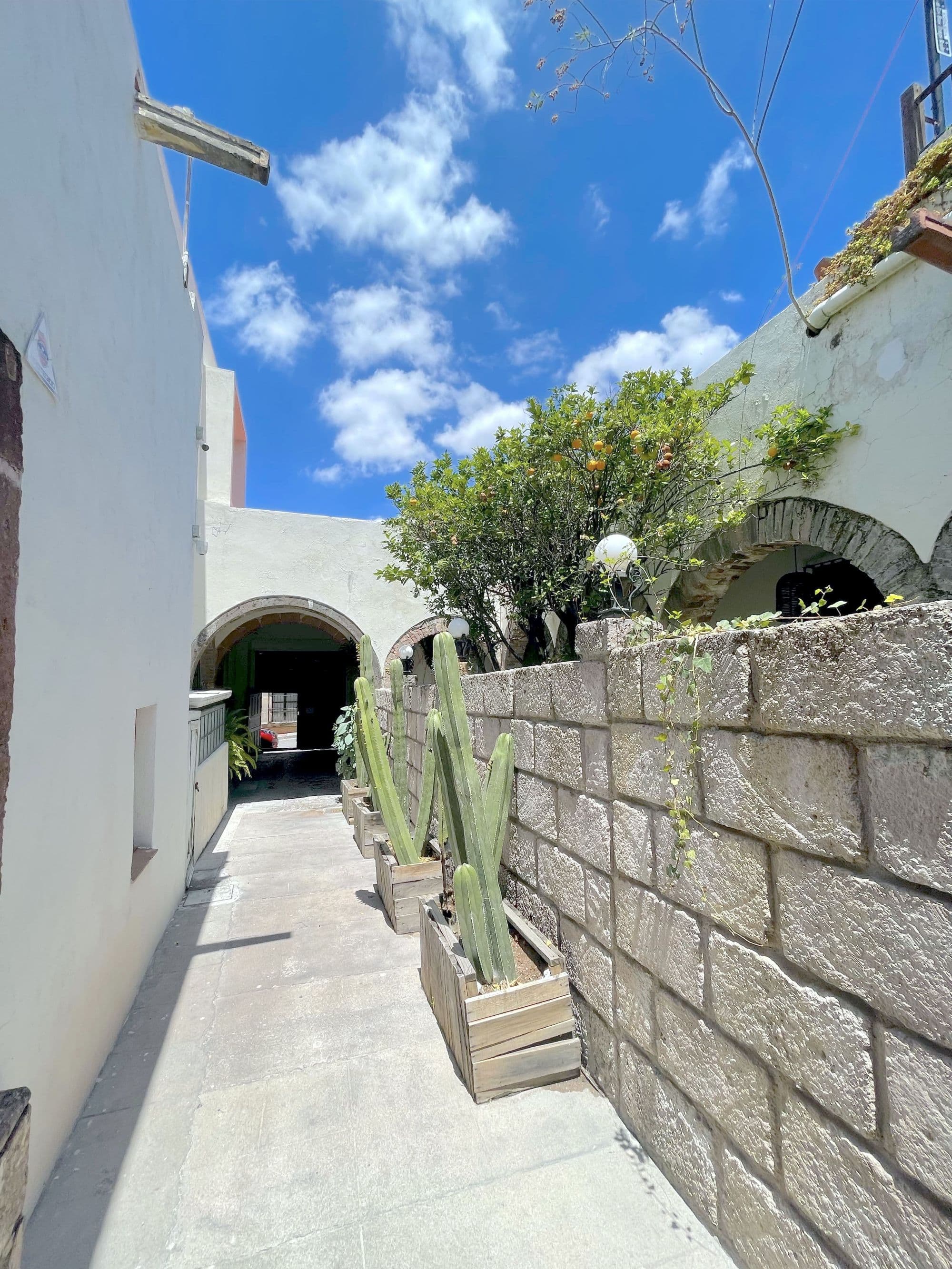 Casa Correo — San Miguel de Allende Centro, San Miguel de Allende — photo 19 — charming arched passageway, lush courtyard oasis