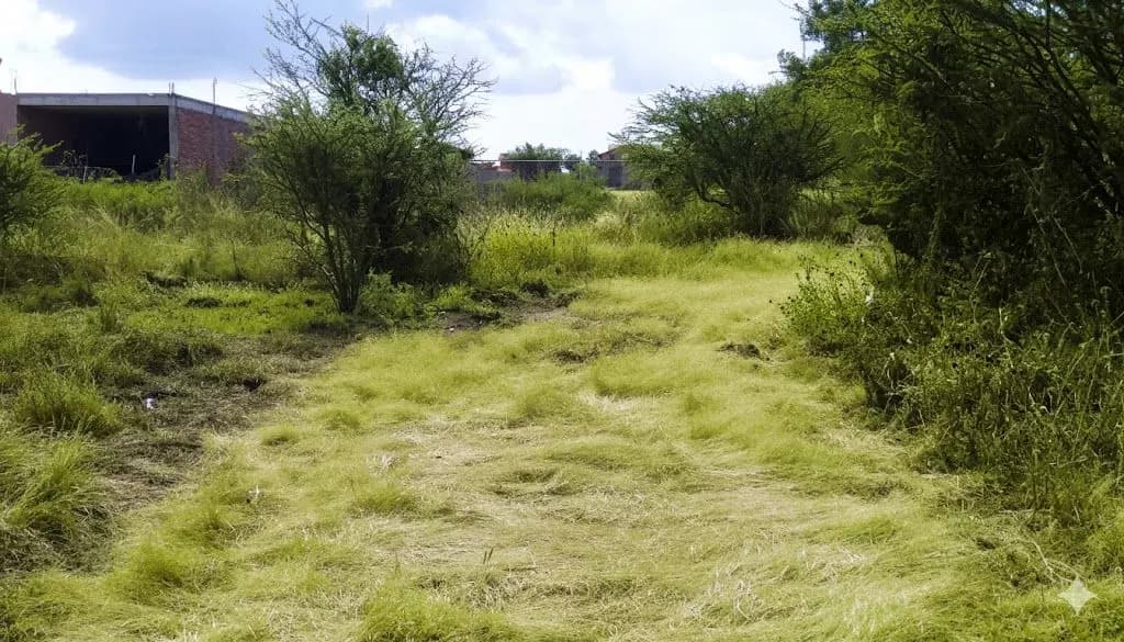 Homesite San Virgilio