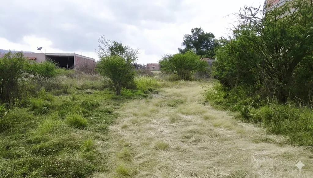 Homesite San Virgilio — San Virgilio, San Miguel de Allende — photo 5 — expansive grounds with charming rustic potential