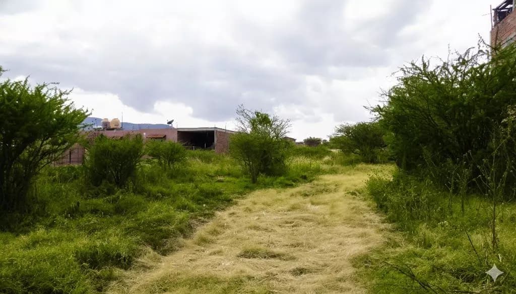 Homesite San Virgilio — San Virgilio, San Miguel de Allende — photo 4 — rustic land with development potential