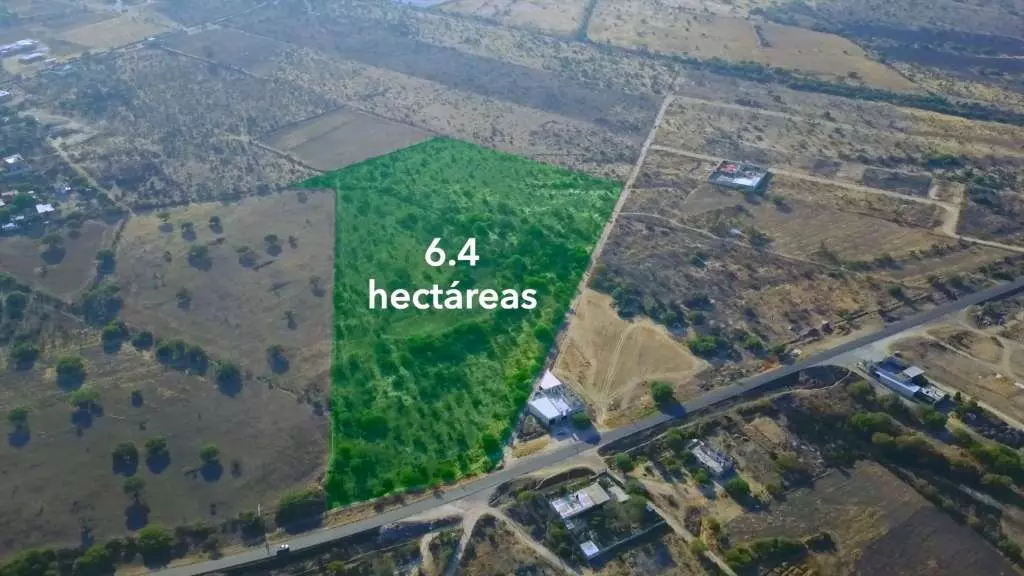 Rancho Los Organos 6.4 Ha