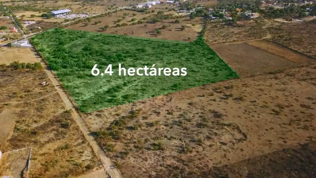 Rancho Los Organos 6.4 Ha — Camino a Dr Mora, San Miguel de Allende — photo 3 — verdant pastoral land, development potential