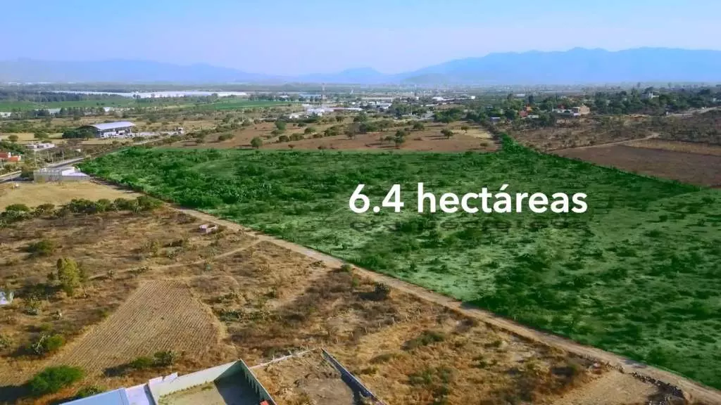 Rancho Los Organos 6.4 Ha — Camino a Dr Mora, San Miguel de Allende — photo 5 — verdant agricultural land, panoramic valley vistas