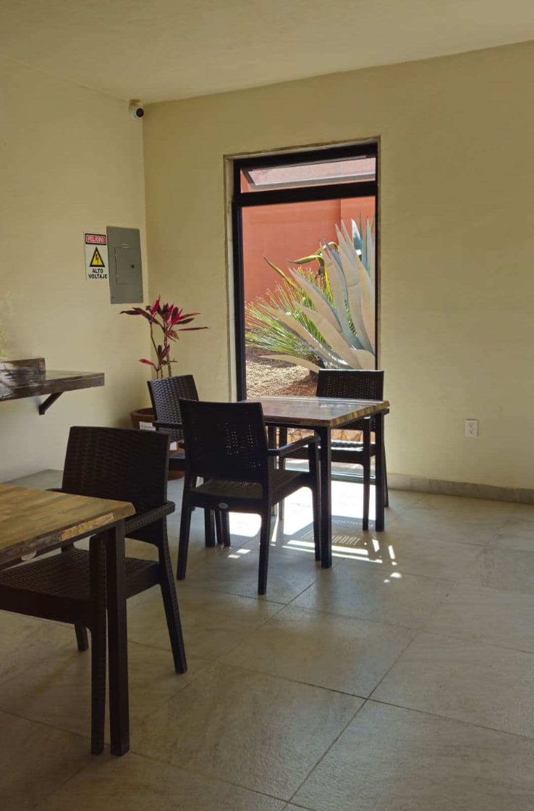 Condo Alegre — Quinta de Allende, San Miguel de Allende — photo 5