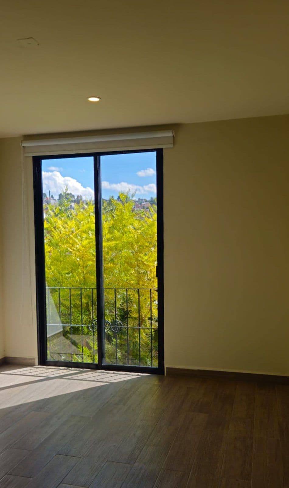 Condo Alegre — Quinta de Allende, San Miguel de Allende — photo 7