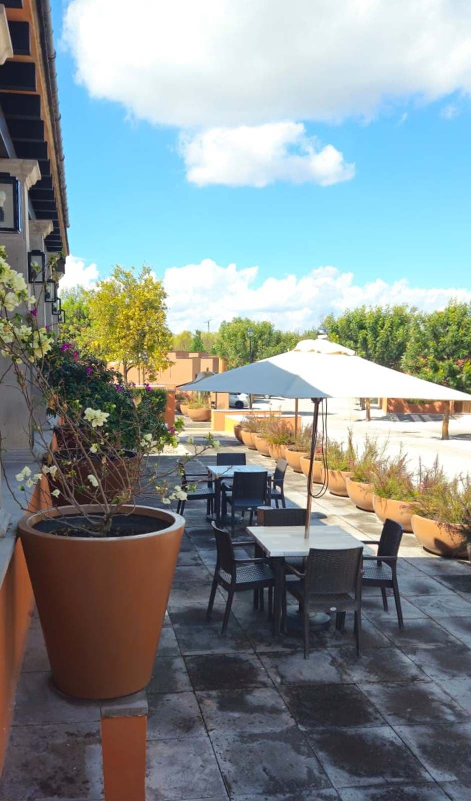 Condo Alegre — Quinta de Allende, San Miguel de Allende — photo 10