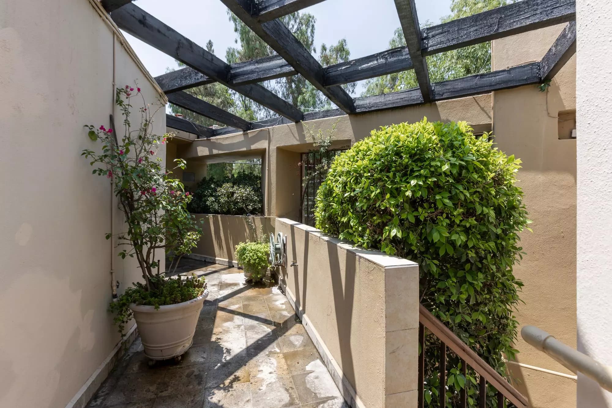 Exquisite Home in Prime San Miguel de Allende Location — Guadiana, San Miguel de Allende — photo 19 — sunlit courtyard with verdant garden sanctuary