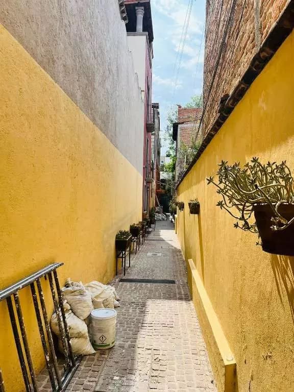 FIXER IN SAN ANTONIO — San Antonio, San Miguel de Allende — photo 2 — charming cobblestone alley, vibrant colonial architecture