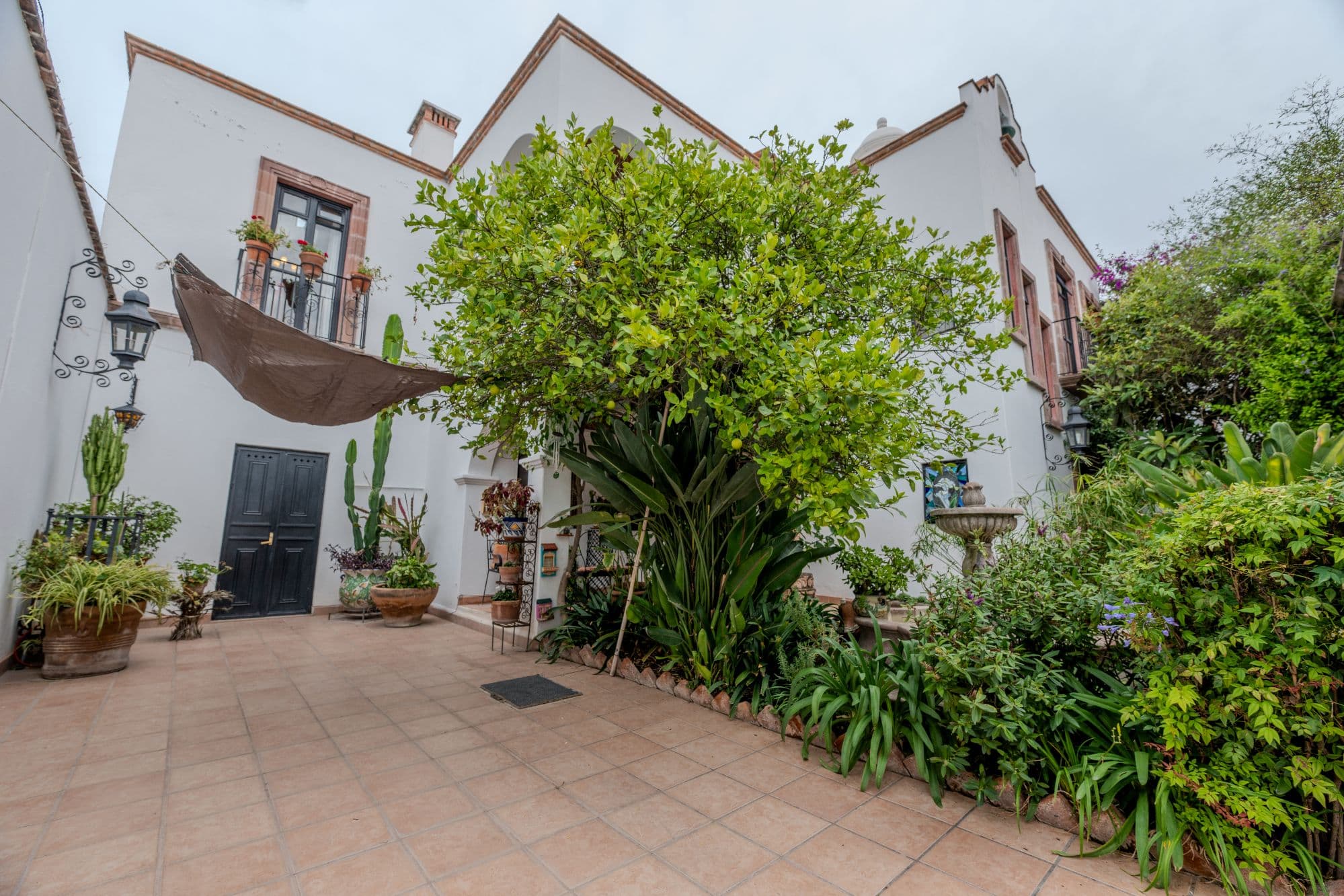 Casa De Las Máscaras — Atascadero (Arcos de San Miguel), San Miguel de Allende — photo 2 — lush courtyard, colonial charm, verdant oasis