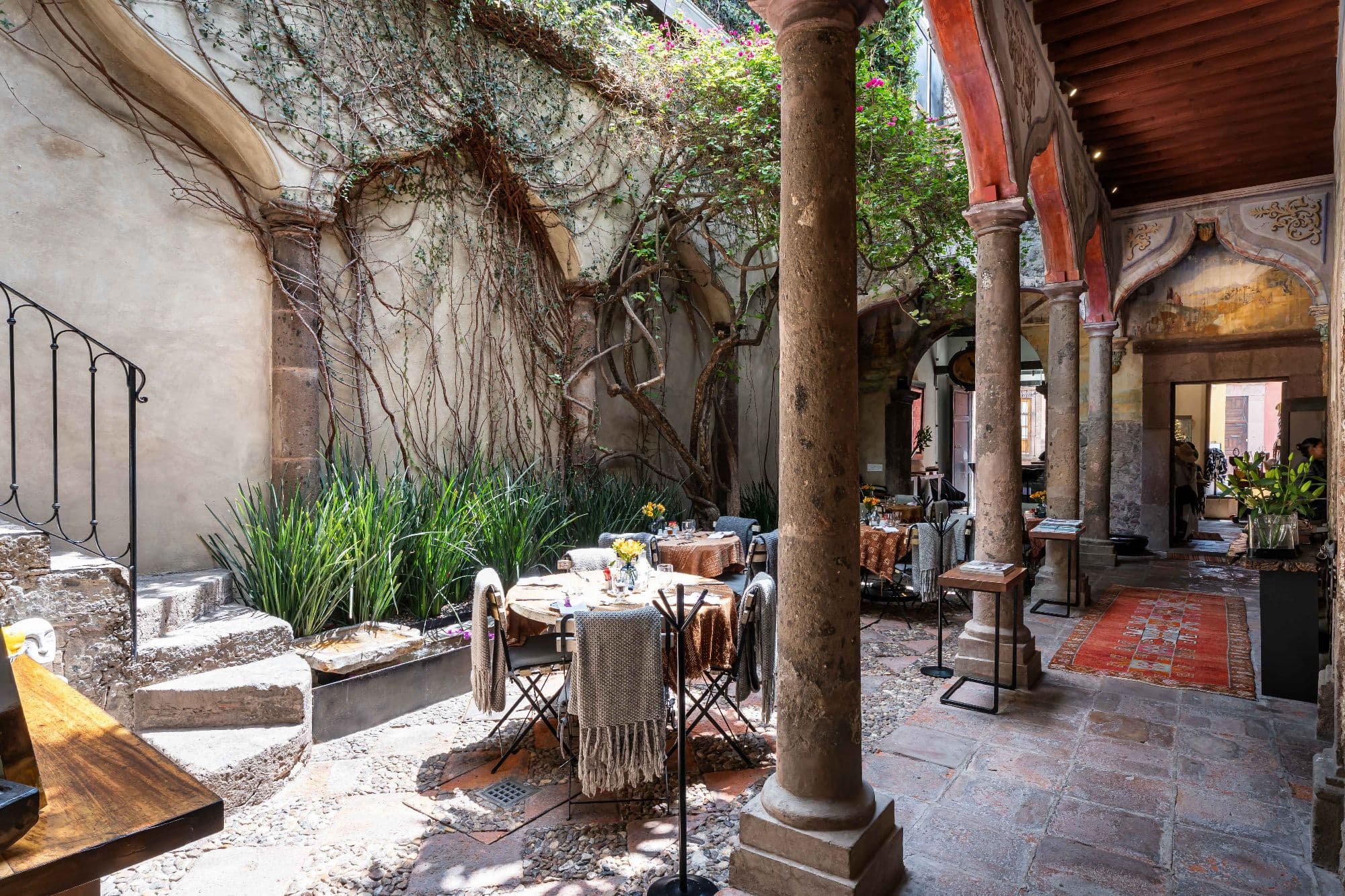 Casa No Name — Centro, San Miguel de Allende — photo 64 — charming colonial courtyard, dappled sunlight