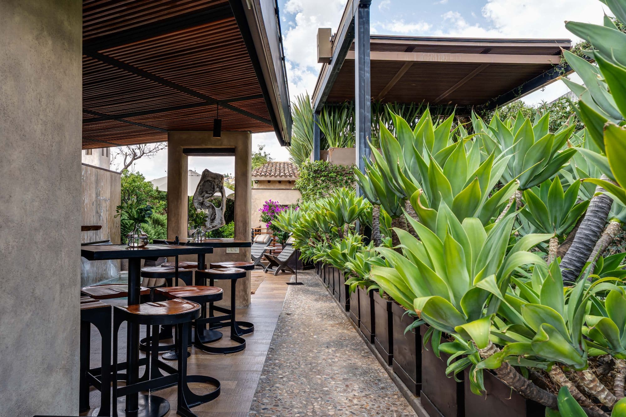 Casa No Name — Centro, San Miguel de Allende — photo 26 — serene tropical courtyard oasis, architectural elegance