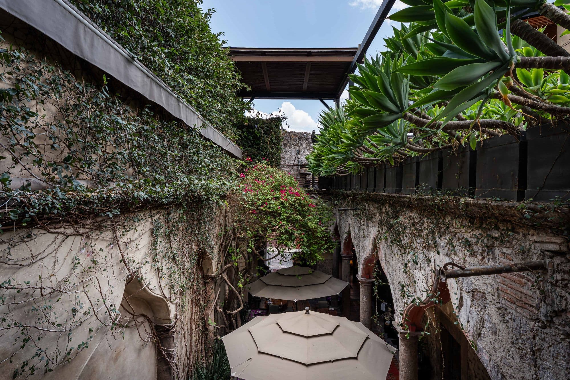 Casa No Name — Centro, San Miguel de Allende — photo 21 — enchanting courtyard, verdant living spaces