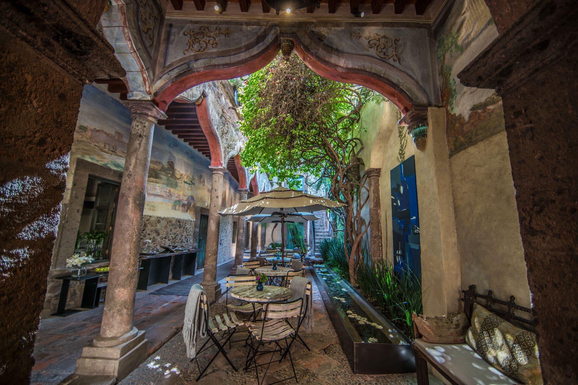 Casa No Name — Centro, San Miguel de Allende — photo 68 — charming colonial courtyard with mature shade trees